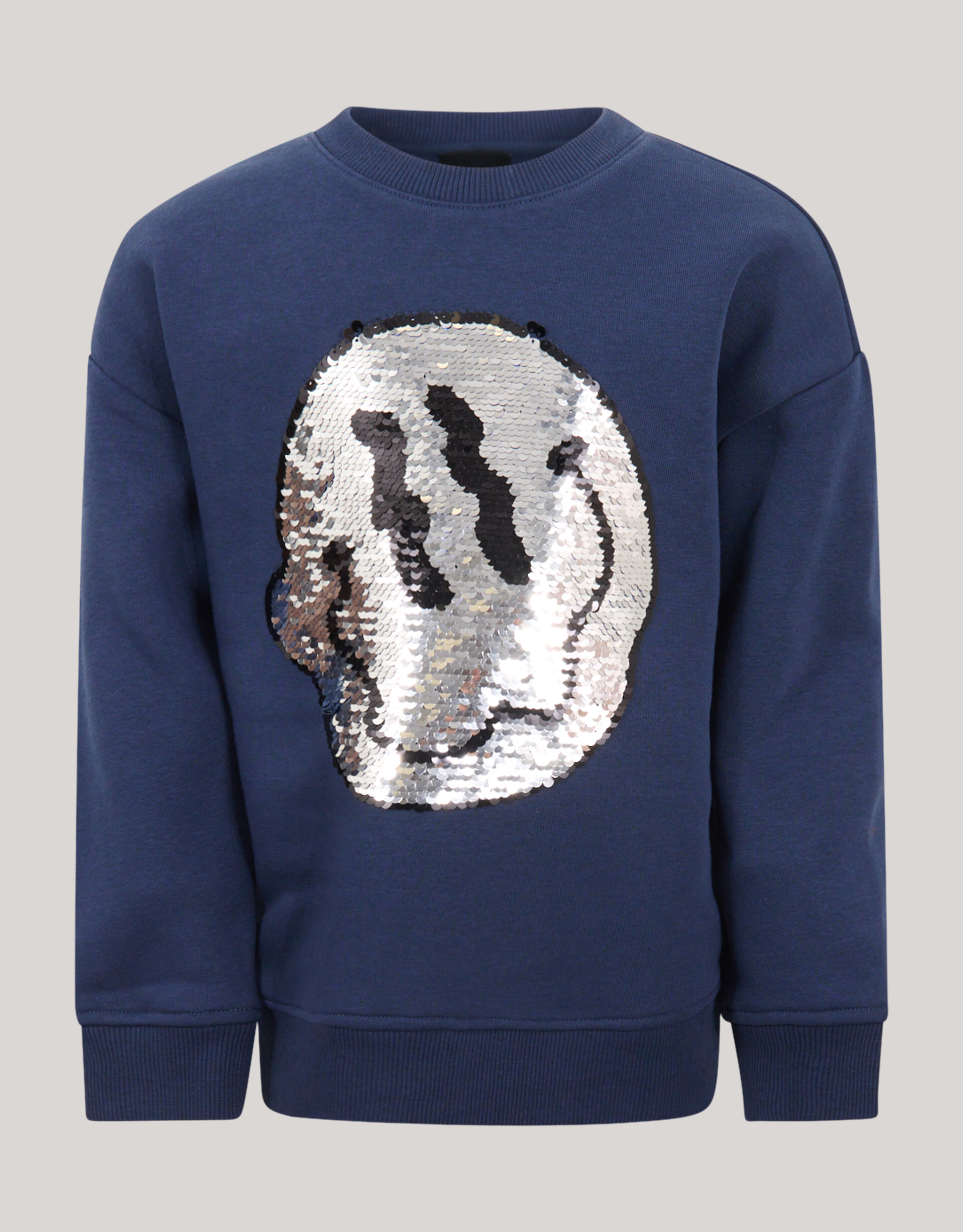 Artwork Sweater Donkerblauw SHOEBY BOYS