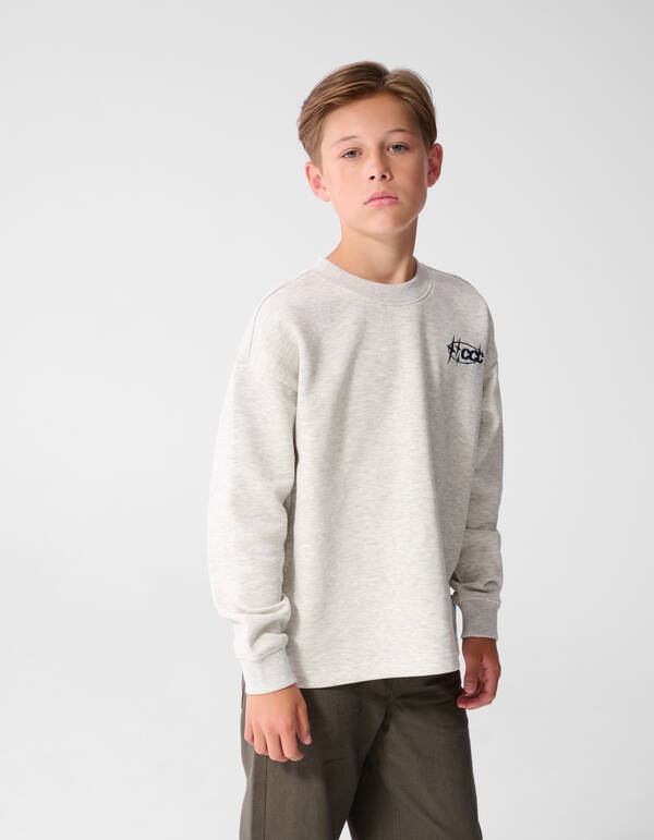 Culture Artwork Sweater Lichtgrijs SHOEBY BOYS