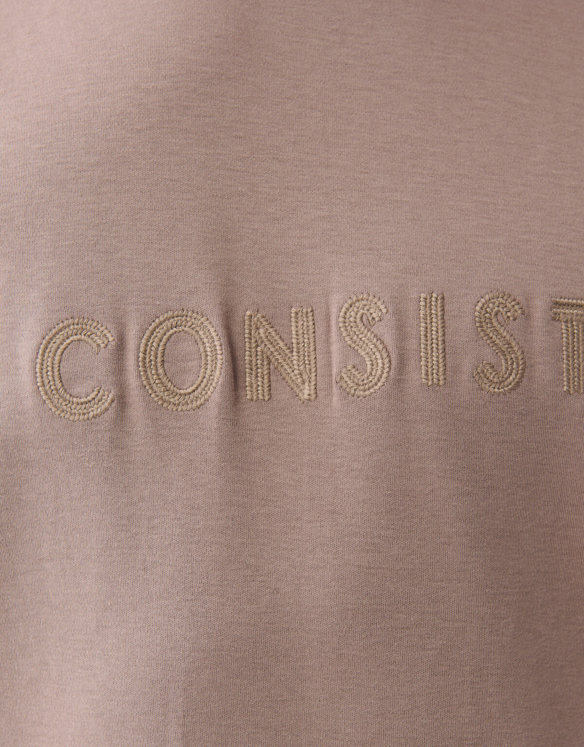 Embroidery Artwork T-shirt Lichtbruin SHOEBY MEN