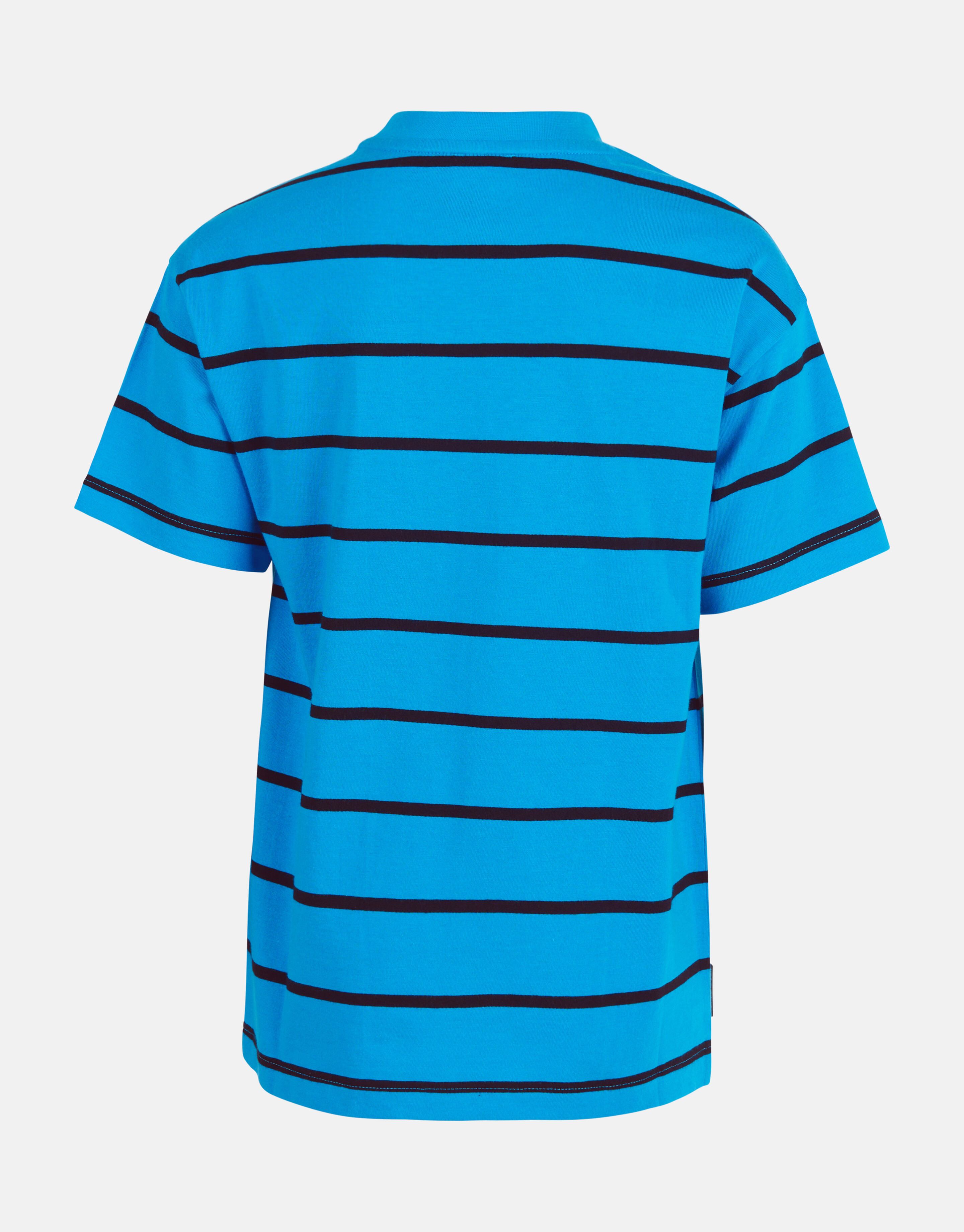 Gestreepte T-shirt Blauw SHOEBY BOYS