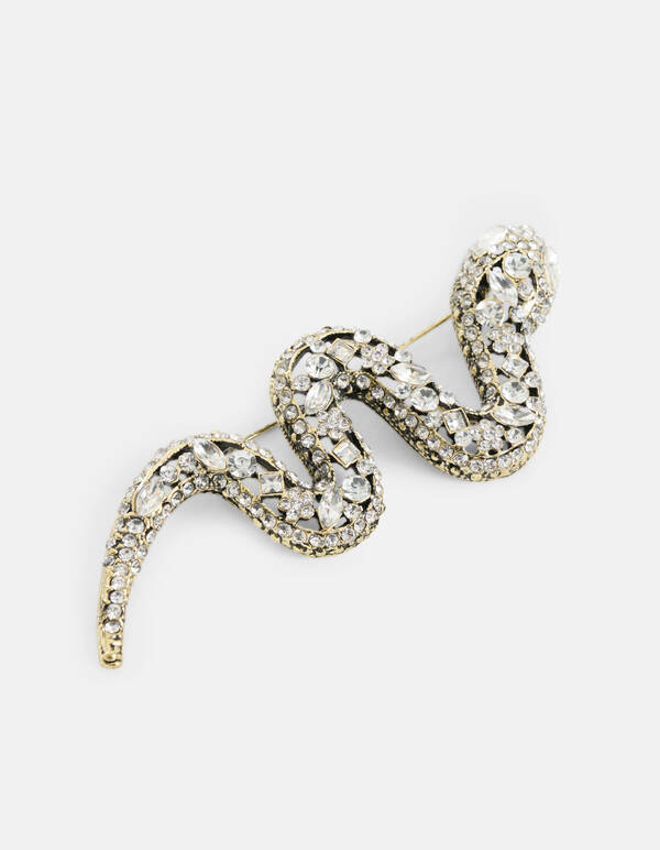 Slangen Broche Goud SHOEBY ACCESSOIRES