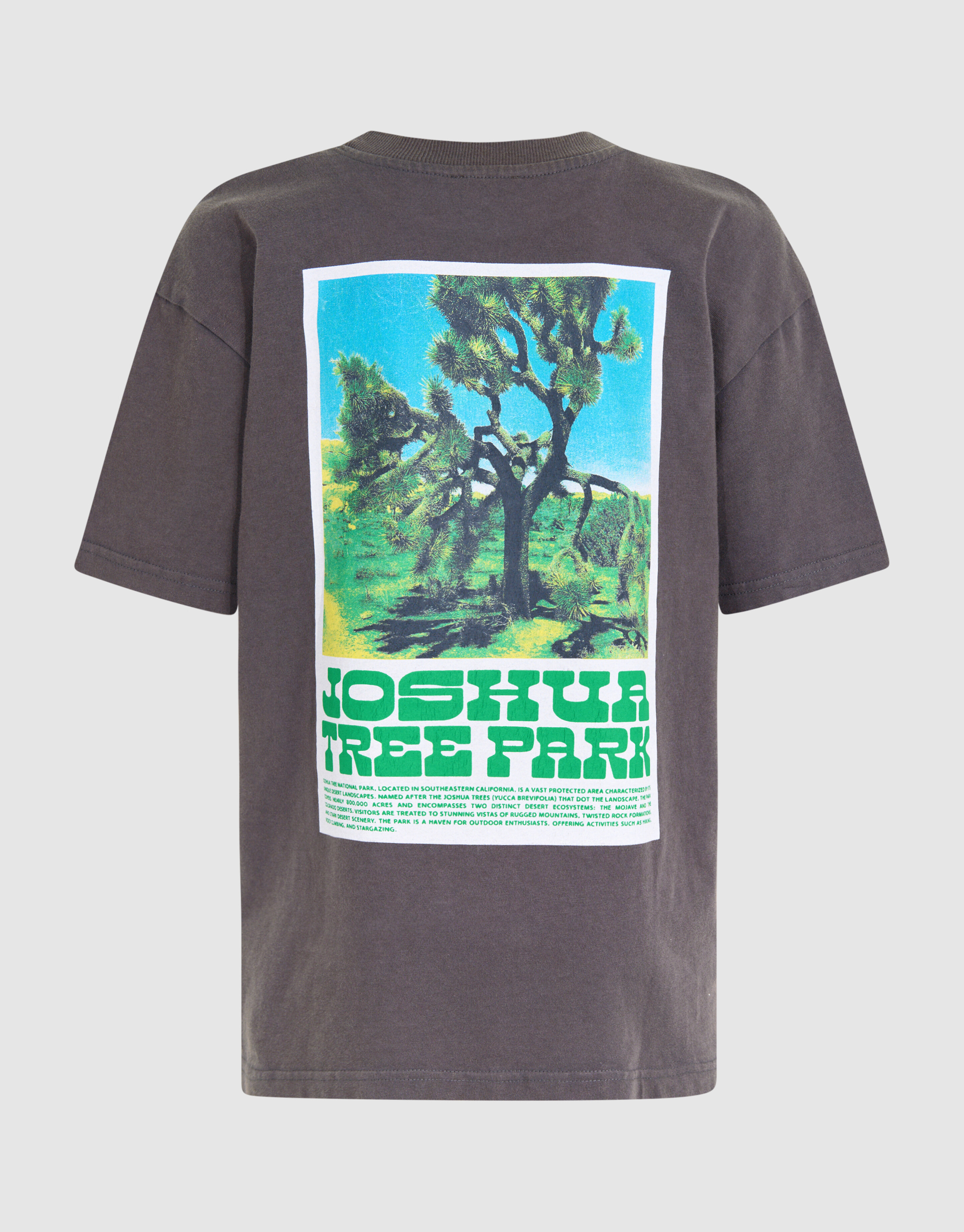 Park Artwork T-shirt Donkergrijs SHOEBY BOYS