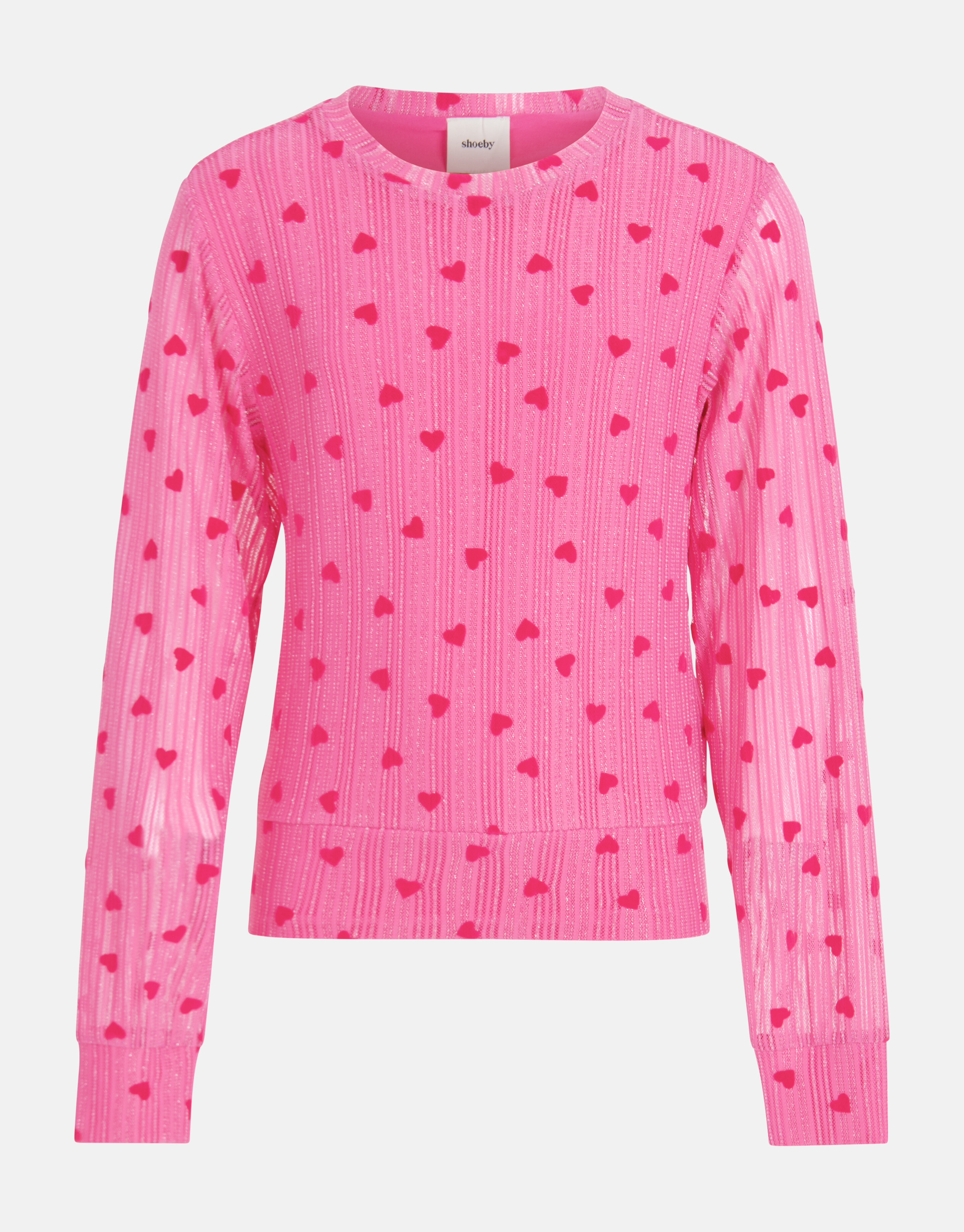 Mesh Top Roze SHOEBY GIRLS
