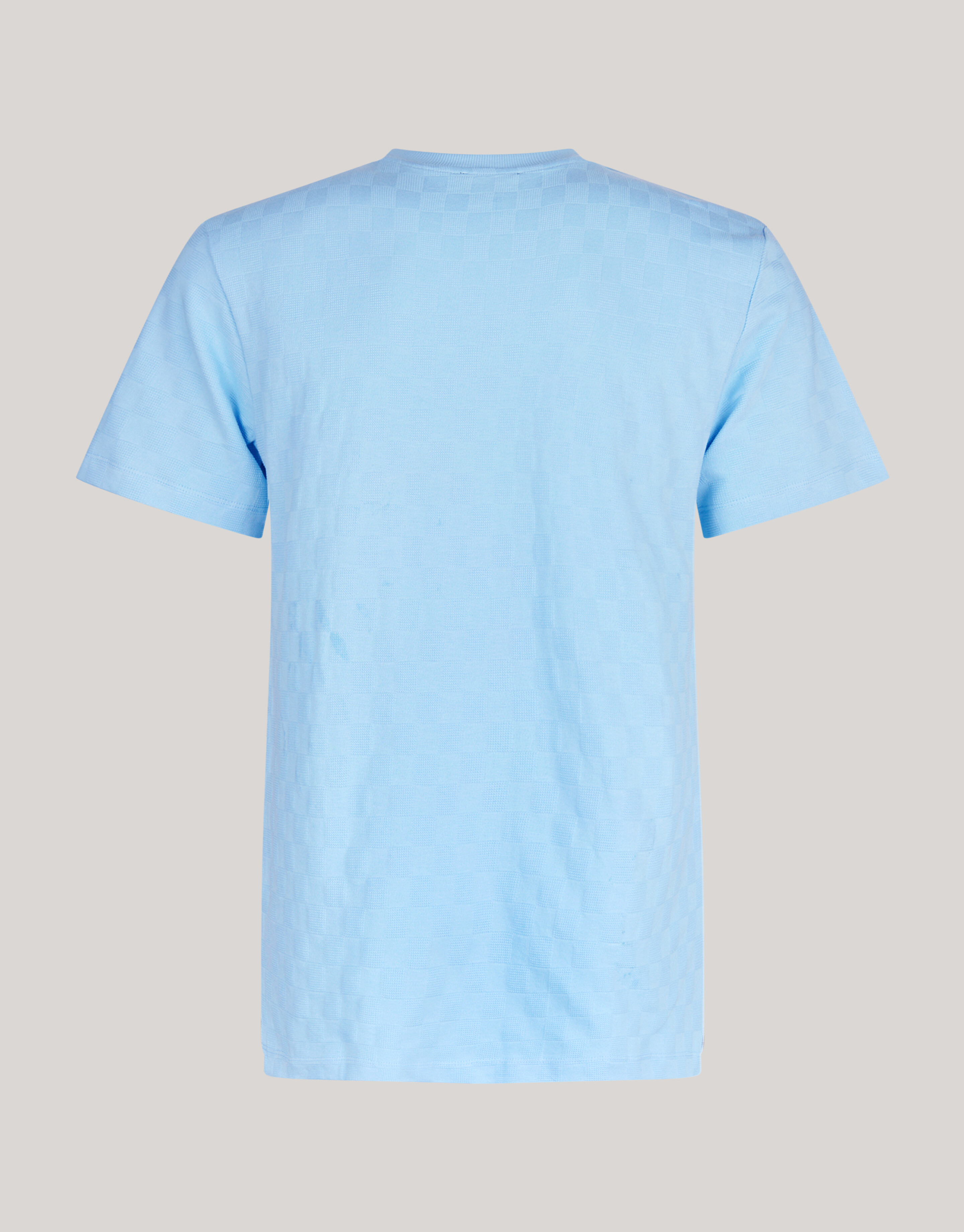 Block Structuur T-shirt Lichtblauw SHOEBY MEN