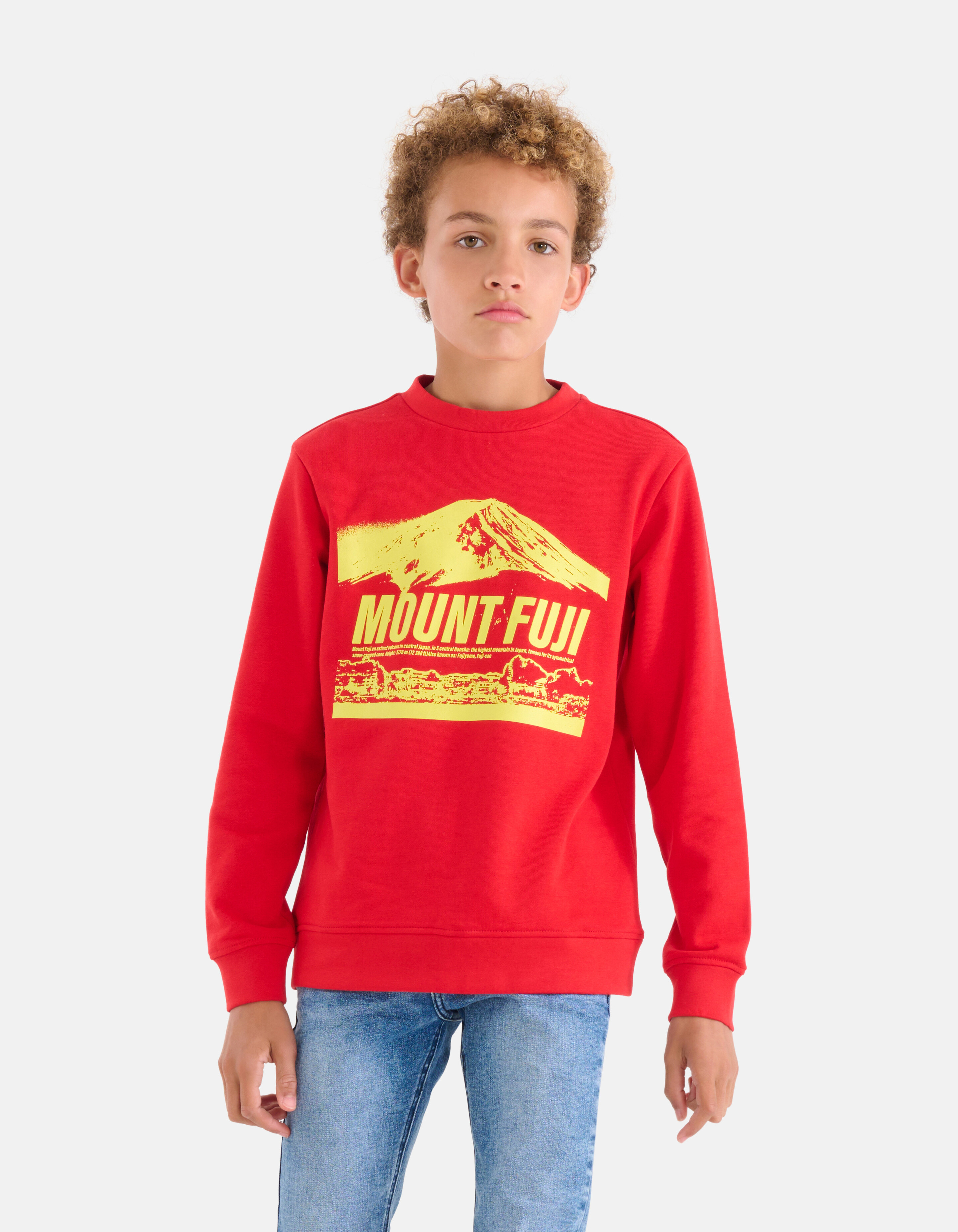 Printed Sweater Rood SHOEBY BOYS