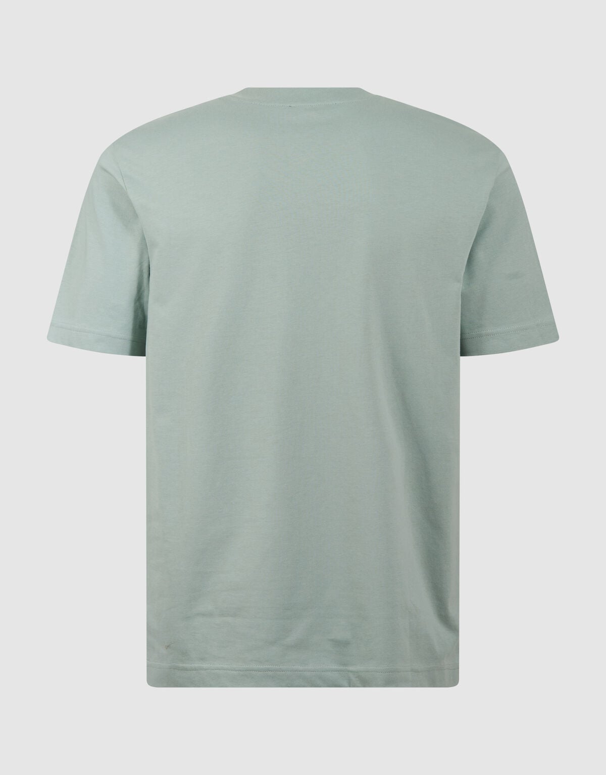Spark Logo Artwork T-shirt Lichtgroen SHOEBY MEN