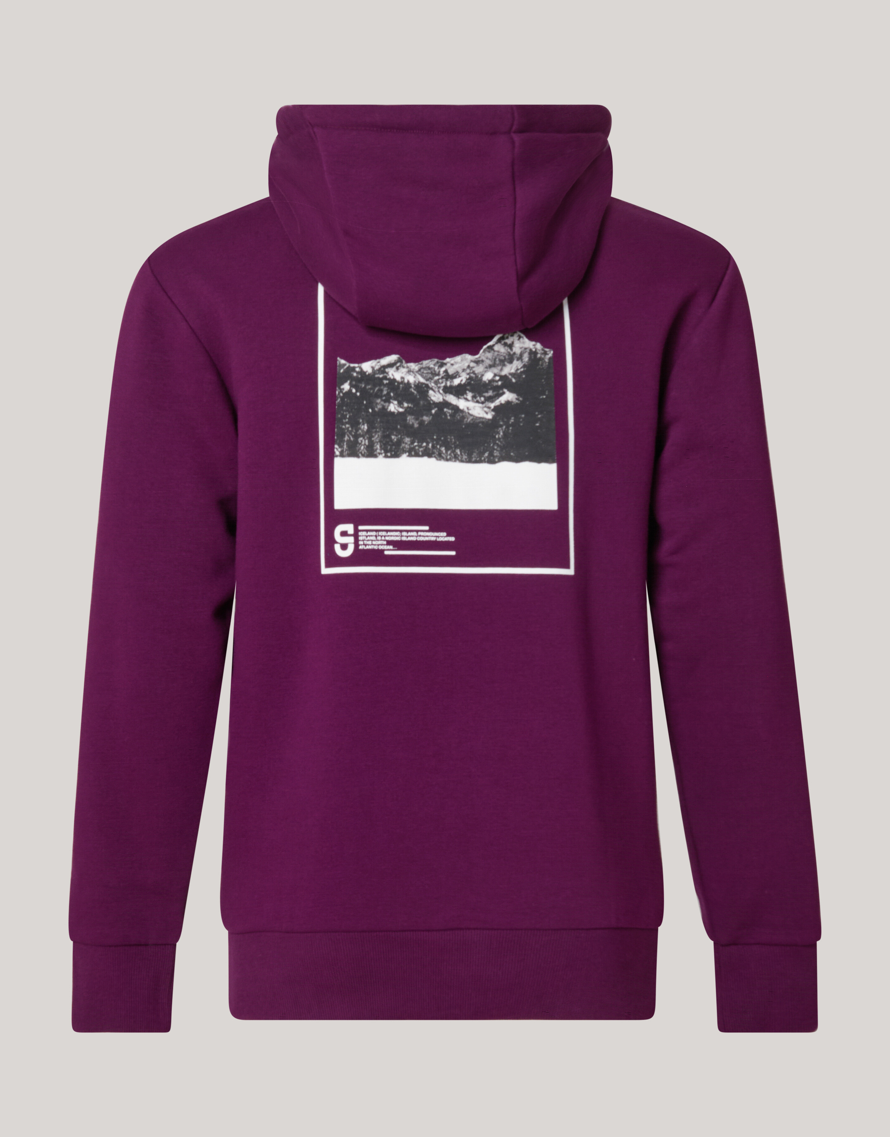 Artwork Hoodie Donkerrood SHOEBY MEN