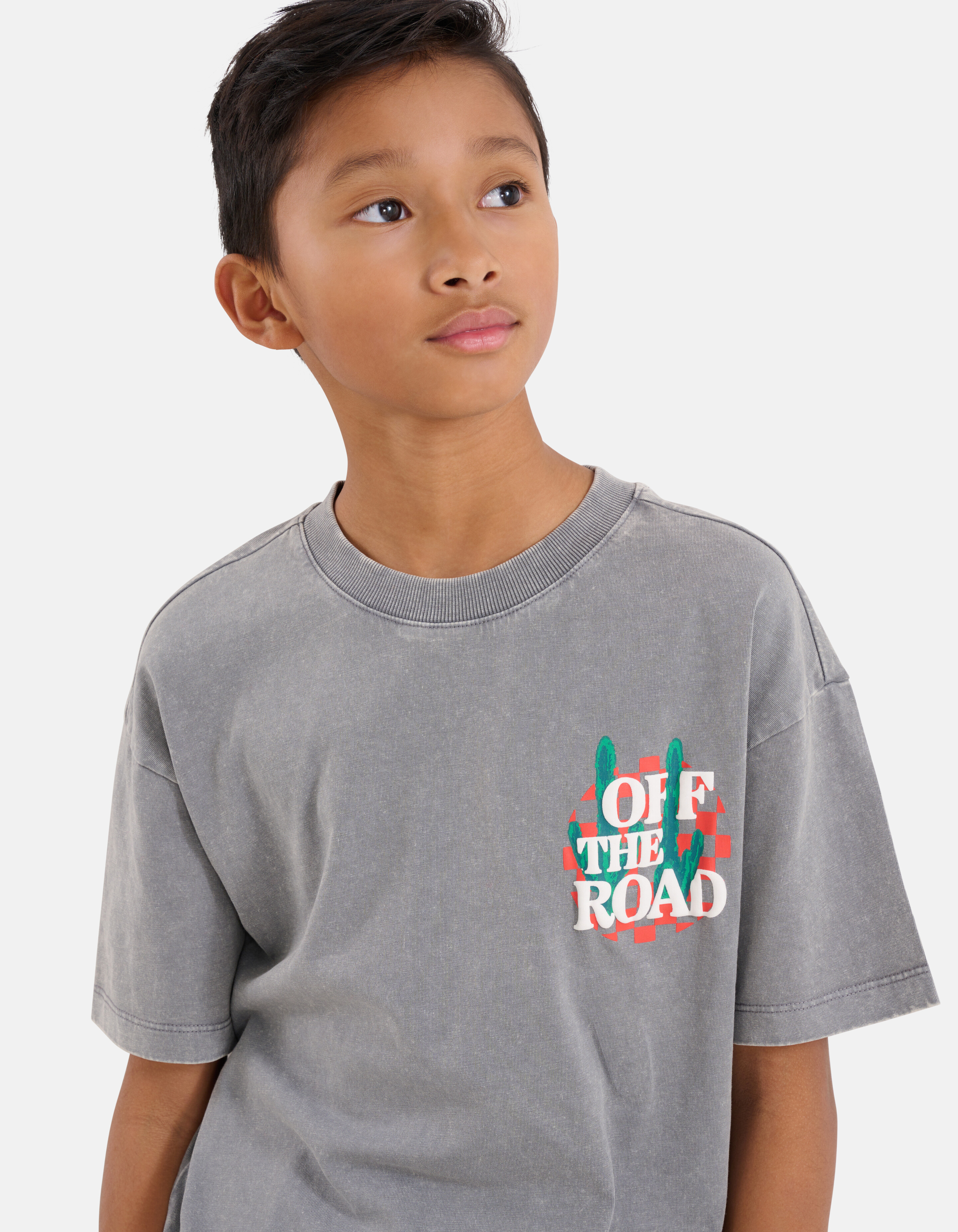 Artwork T-shirt Lichtgrijs SHOEBY BOYS