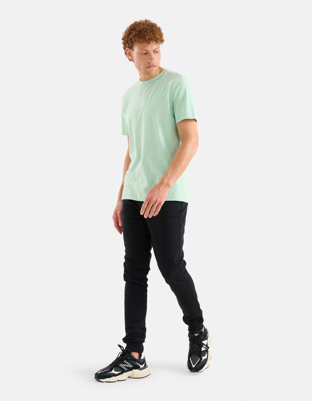 Artwork T-shirt Lichtgroen SHOEBY MEN