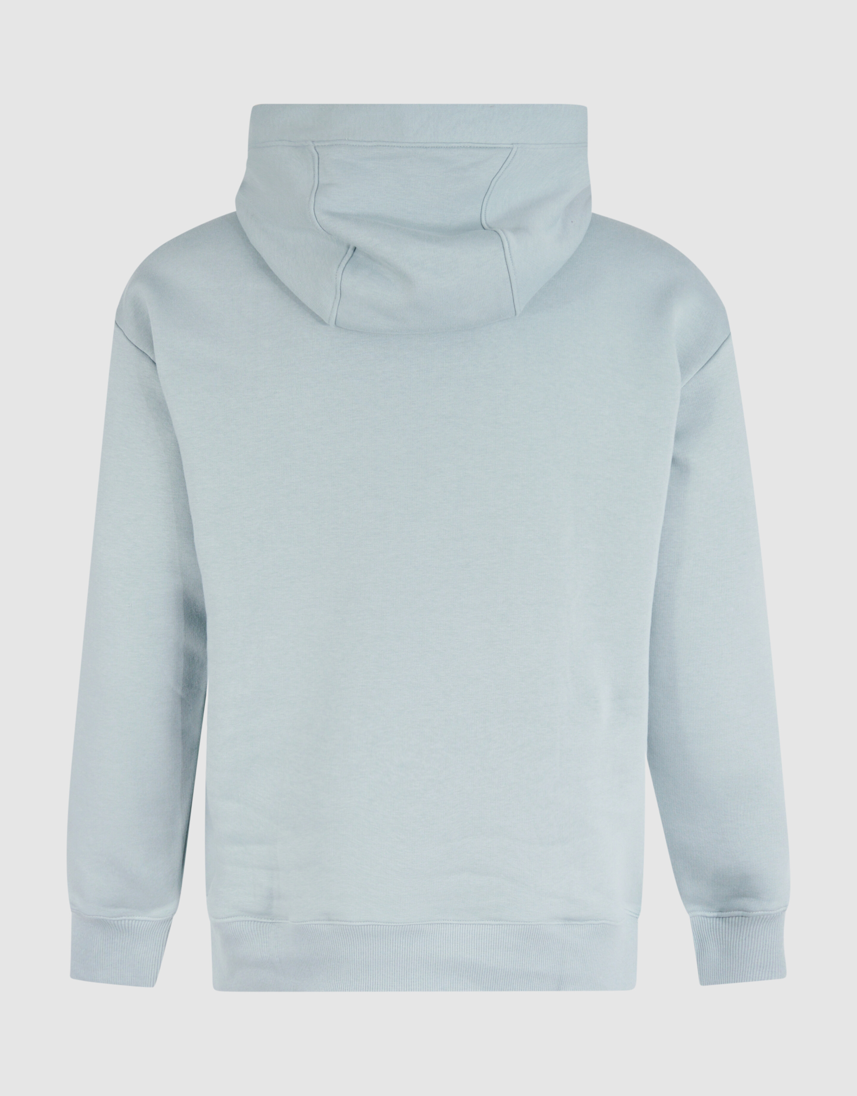 Relaxed Fit Hoodie Lichtgroen SHOEBY MEN