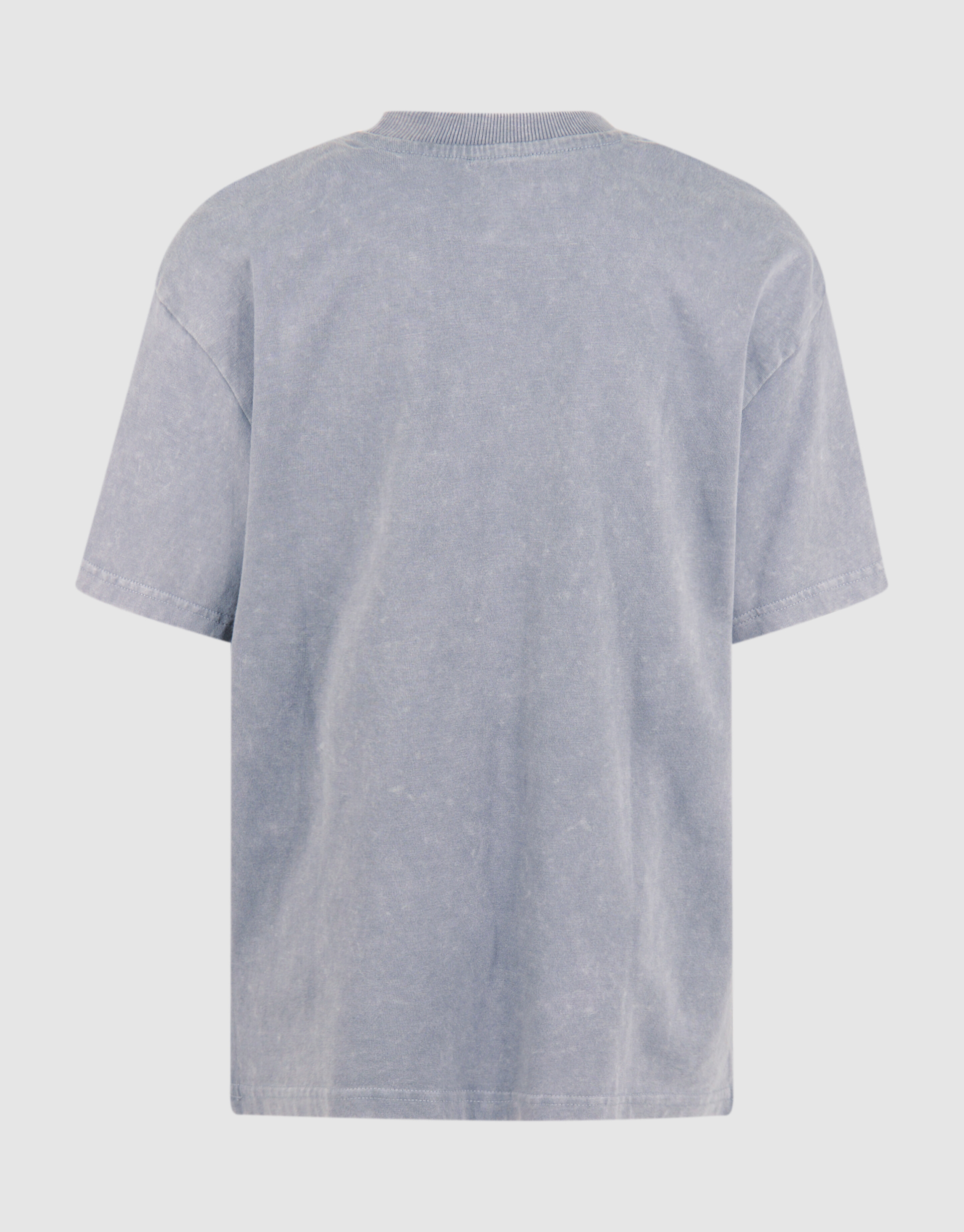 Tekst T-shirt Washed Lichtgrijs SHOEBY BOYS