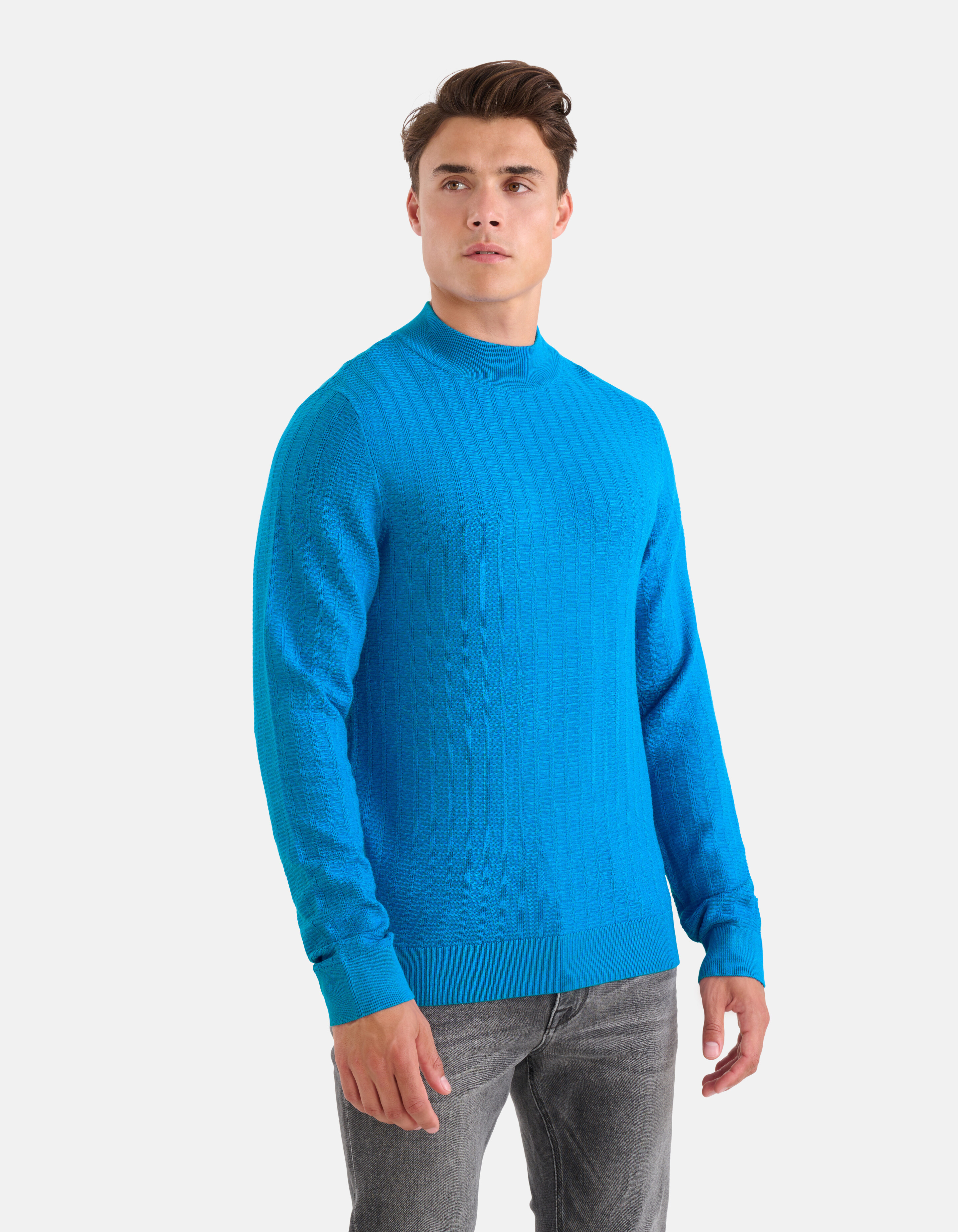 Structuur Trui Blauw SHOEBY MEN