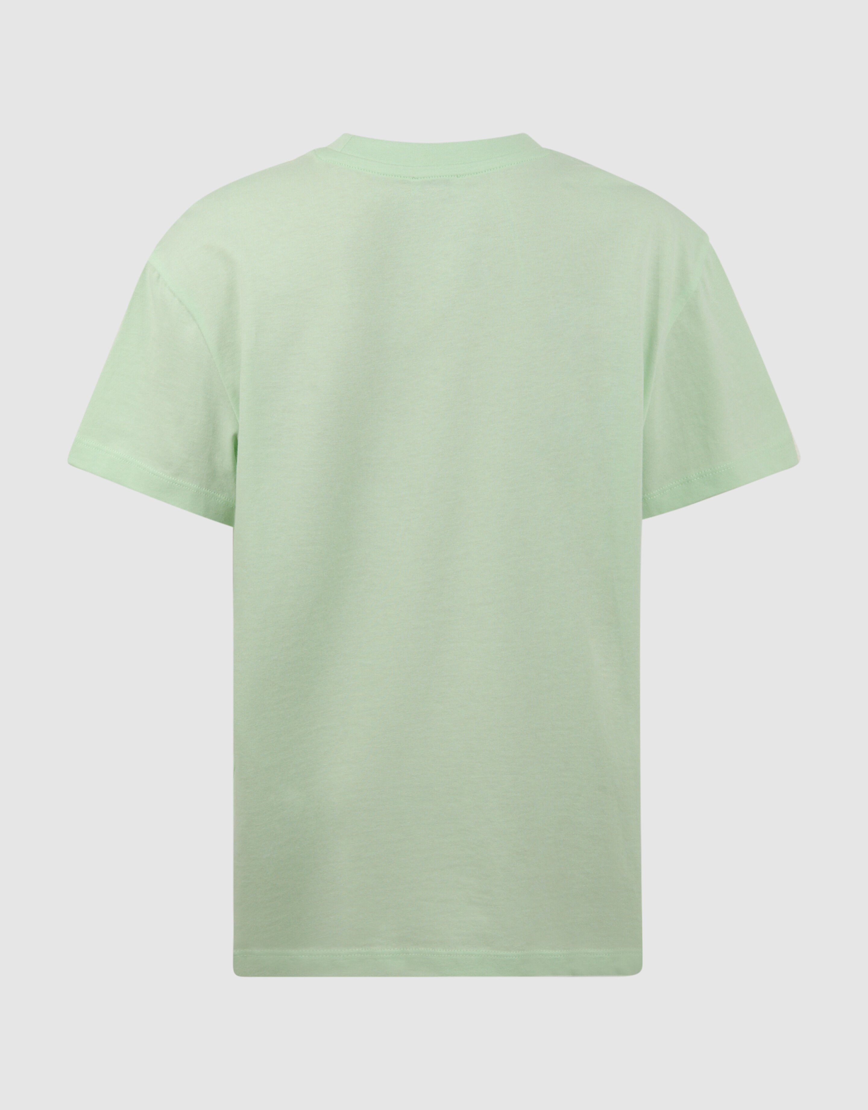 Fruit Market Artwork T-shirt Lichtgroen SHOEBY GIRLS