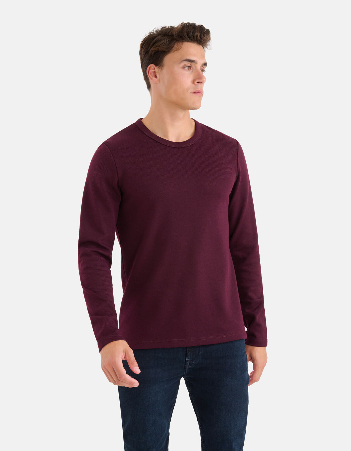 Structuur T-shirt Bordeaux SHOEBY MEN