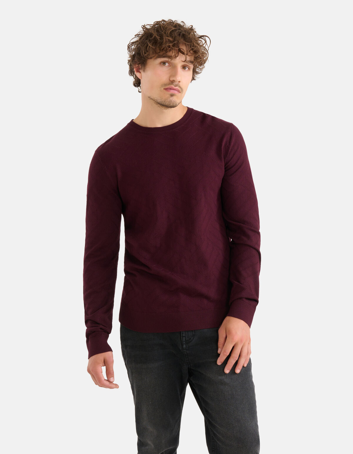 Diagonaal Trui Bordeaux SHOEBY MEN