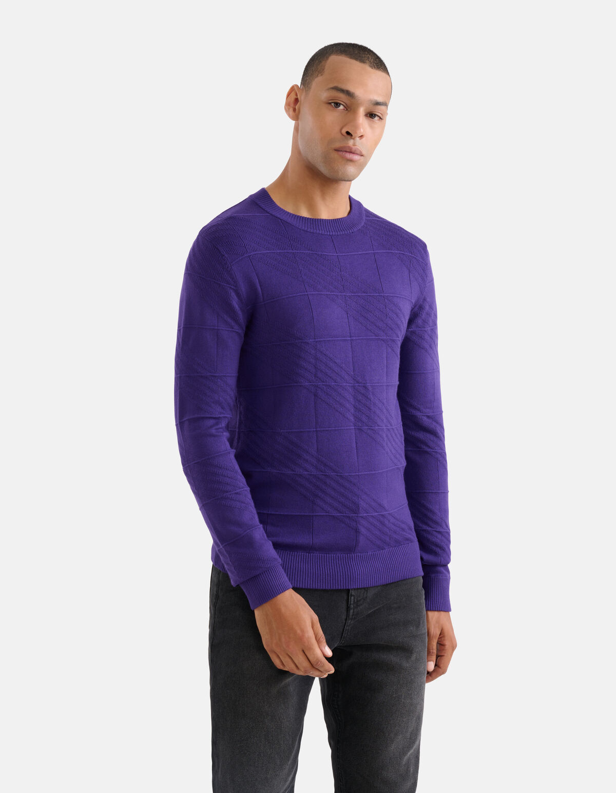 Diagonaal Trui Paars SHOEBY MEN