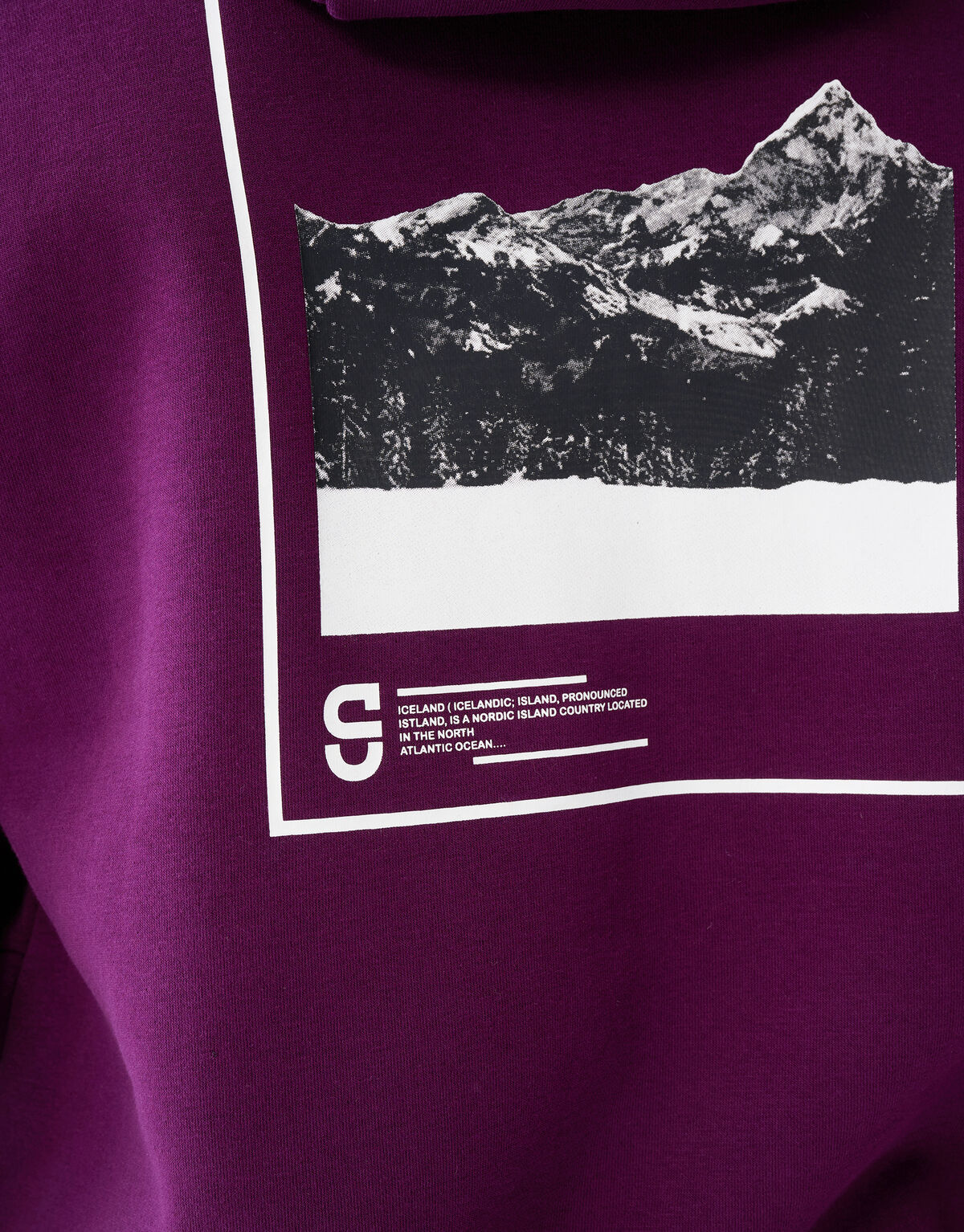 Artwork Hoodie Donkerrood SHOEBY MEN