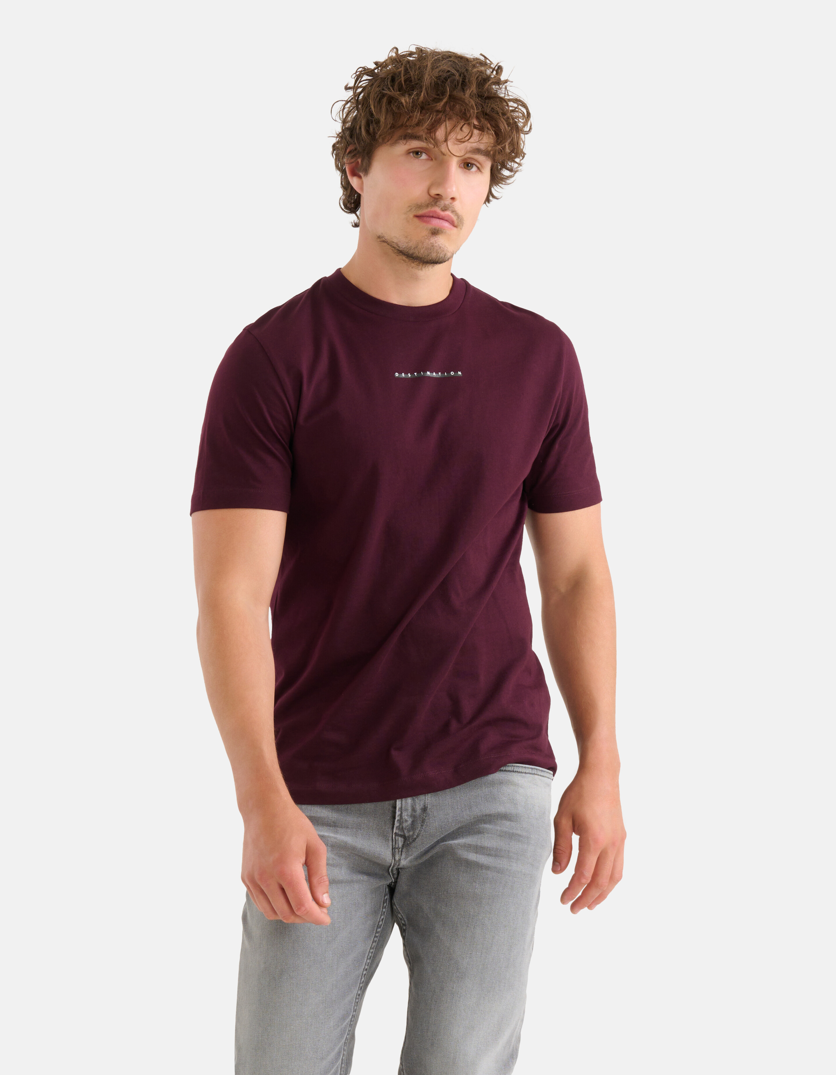 Artwork T-shirt Bordeaux SHOEBY MEN