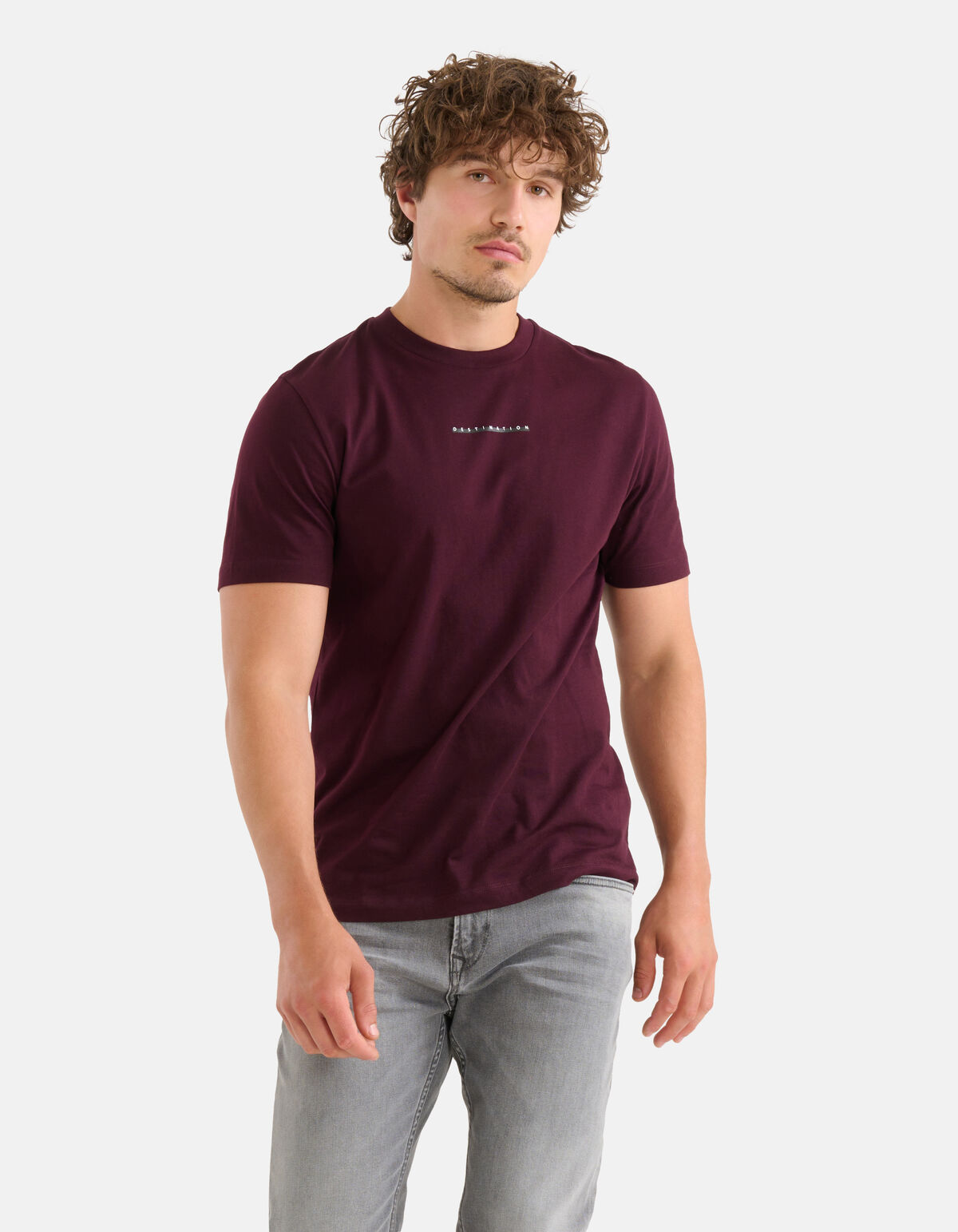 Artwork T-shirt Bordeaux SHOEBY MEN