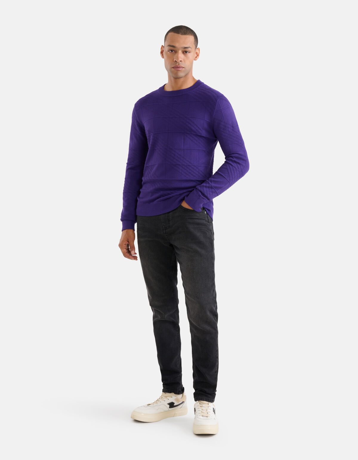 Diagonaal Trui Paars SHOEBY MEN