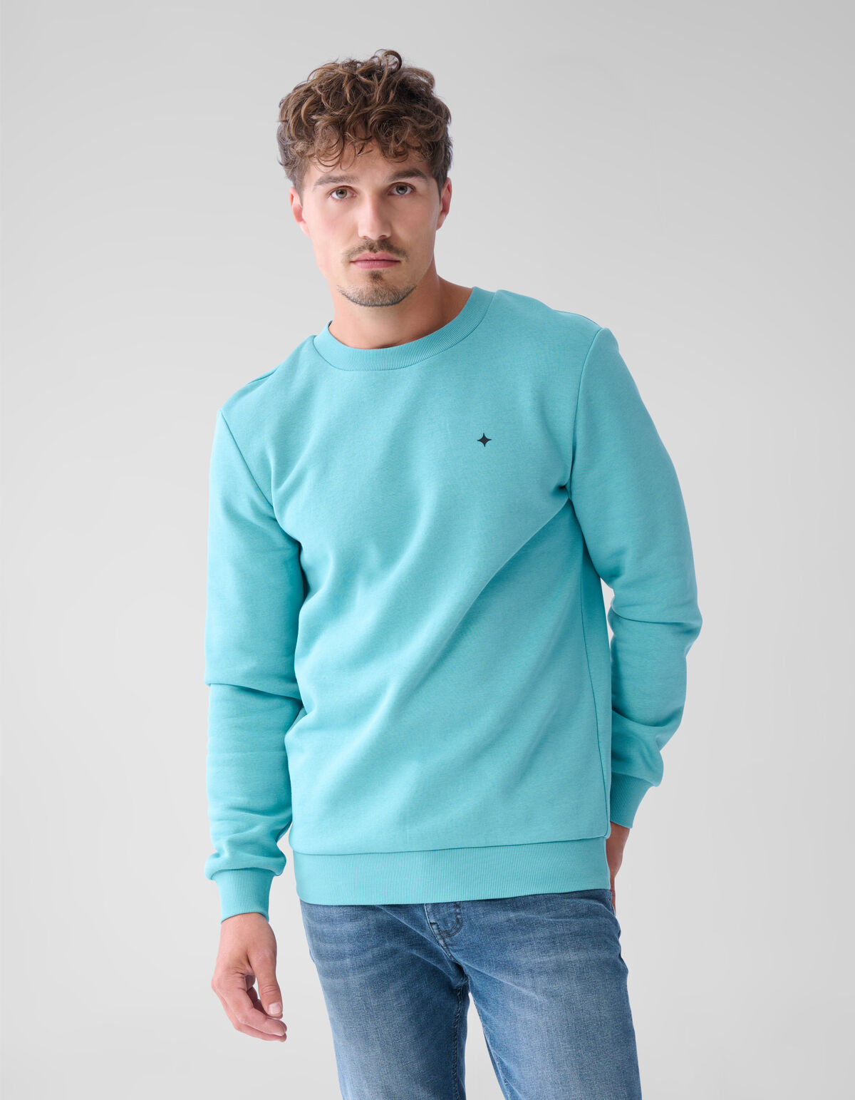 Sparkle Sweater Lichtgroen SHOEBY MEN