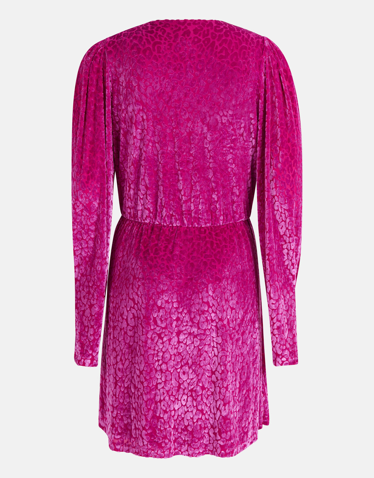 Velvet Mesh Jurk Paars SHOEBY WOMEN