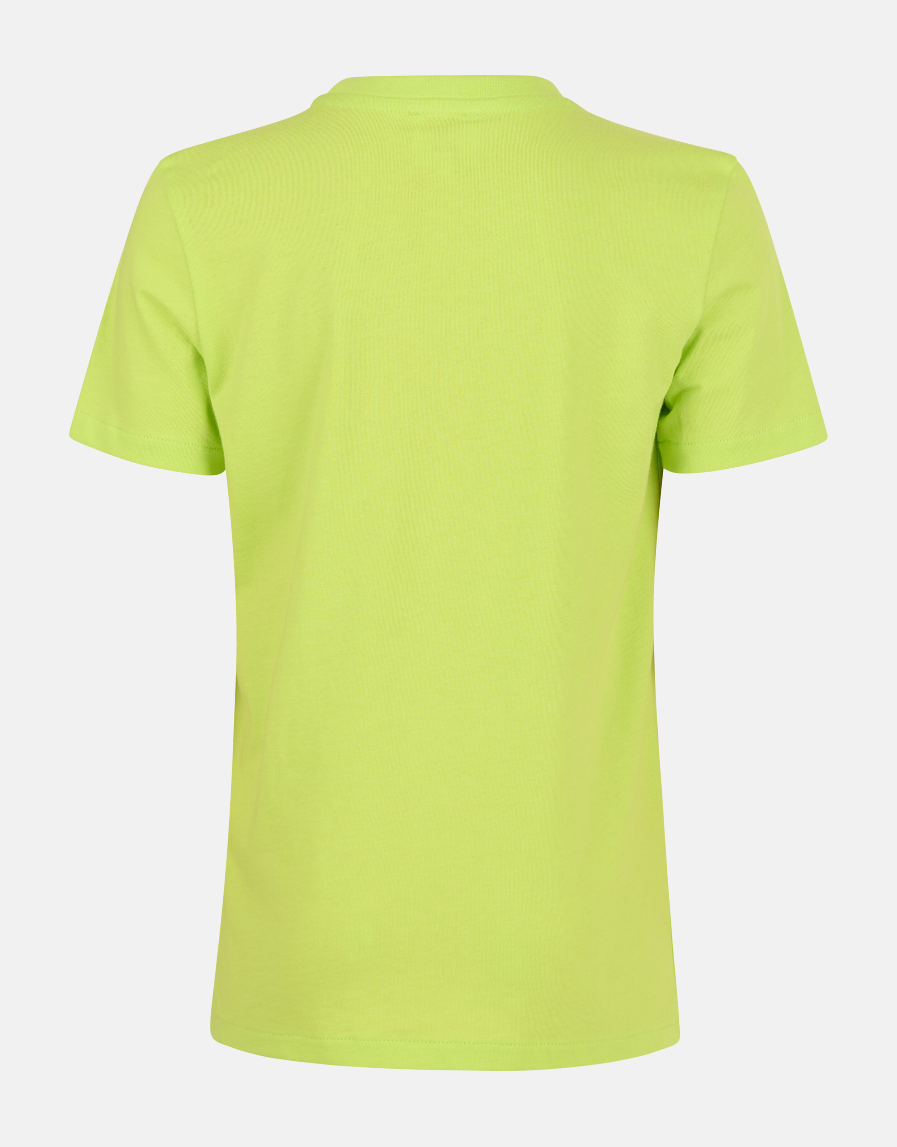 Artwork T-shirt Limoengroen SHOEBY BOYS