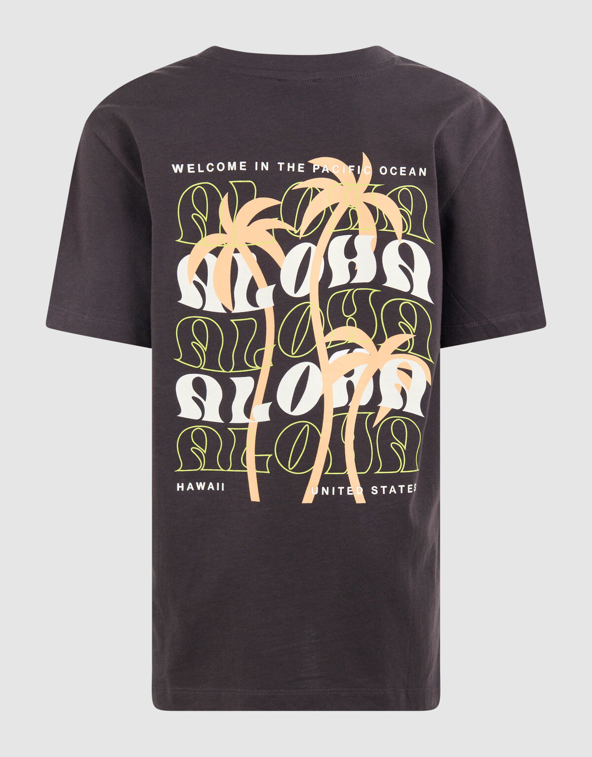 Aloha Artwork T-shirt Donkergrijs SHOEBY BOYS