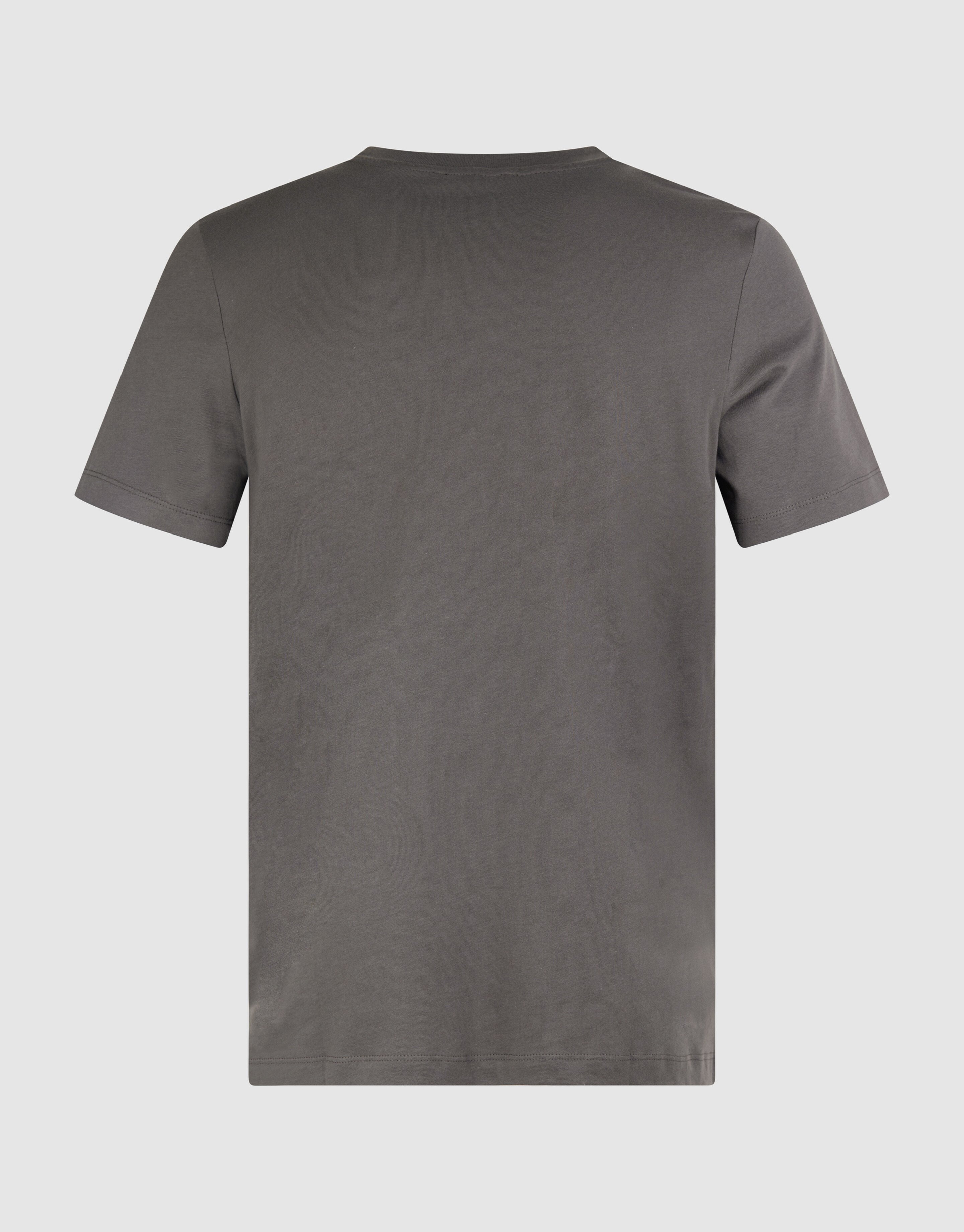 Sparkle Artwork T-shirt Donkergroen SHOEBY MEN