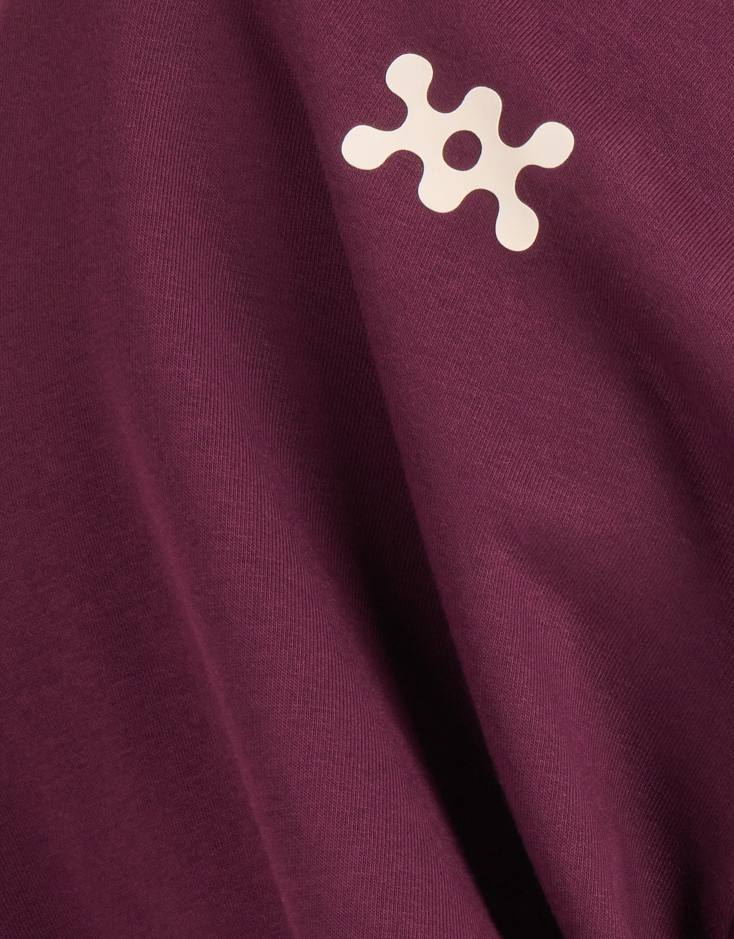 Basis Hoodie Bordeaux SHOEBY BOYS