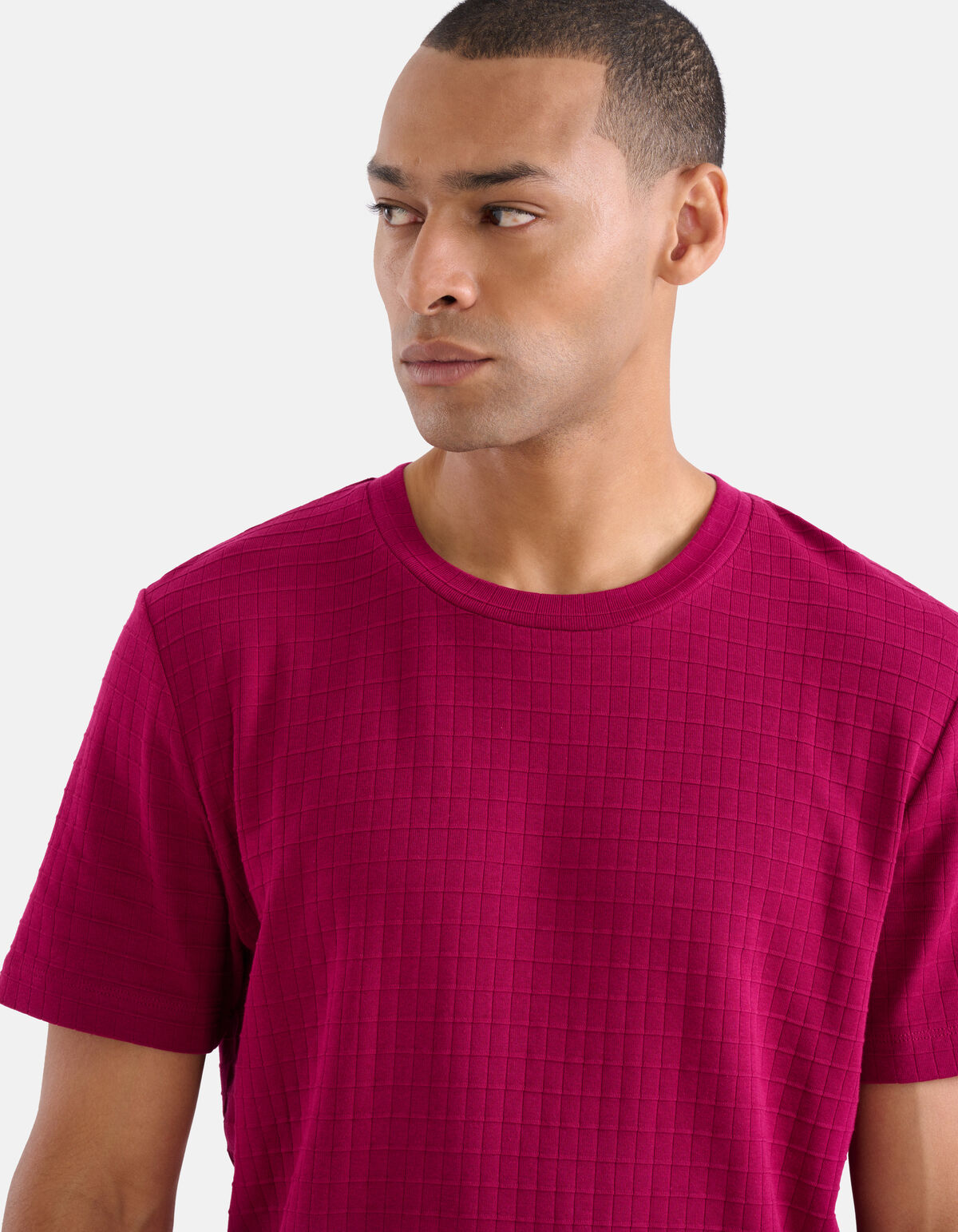 Structuur T-shirt Fuchsia SHOEBY MEN