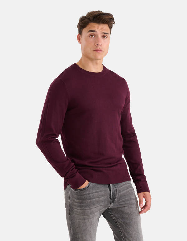 Crewneck Trui Bordeaux SHOEBY MEN