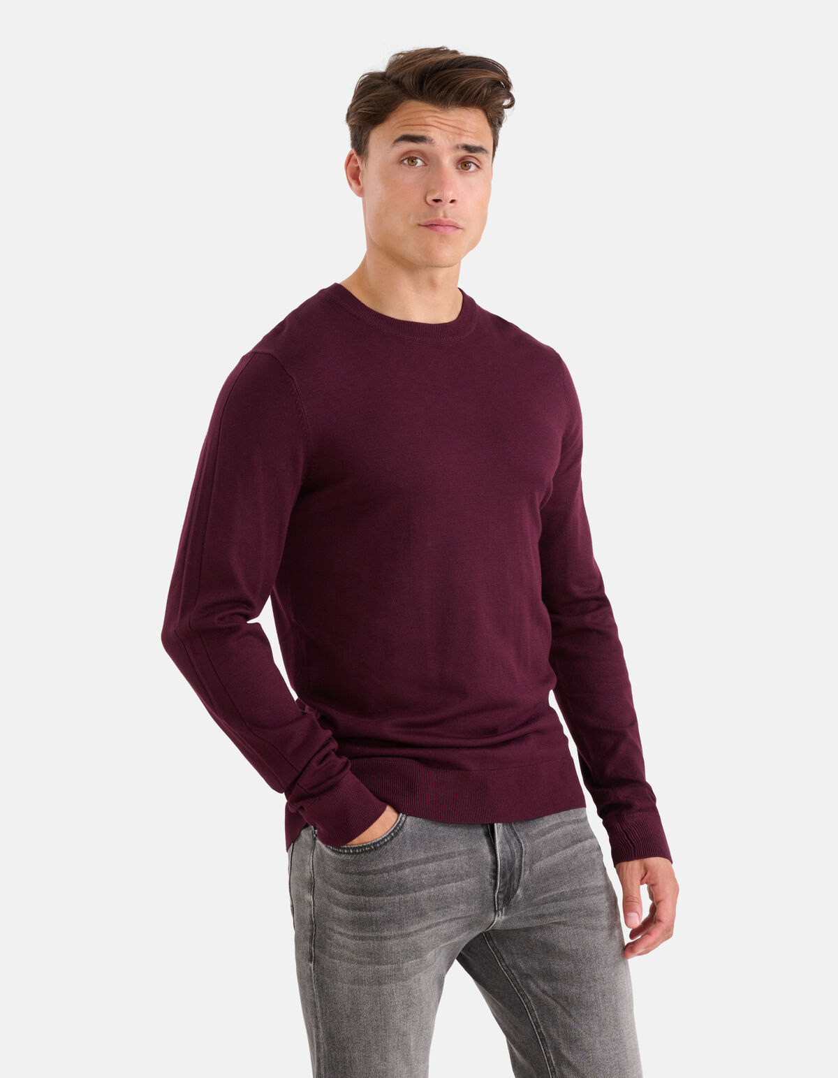 Crewneck Trui Bordeaux SHOEBY MEN
