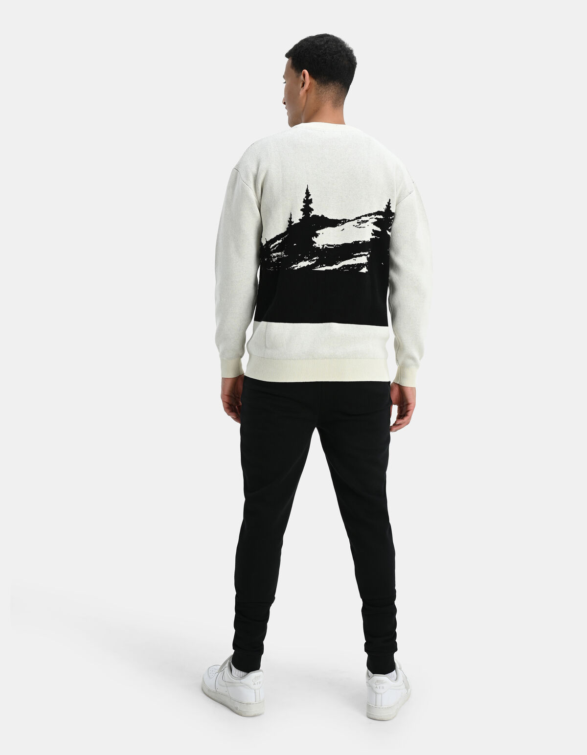 Landschap Trui Beige SHOEBY MEN