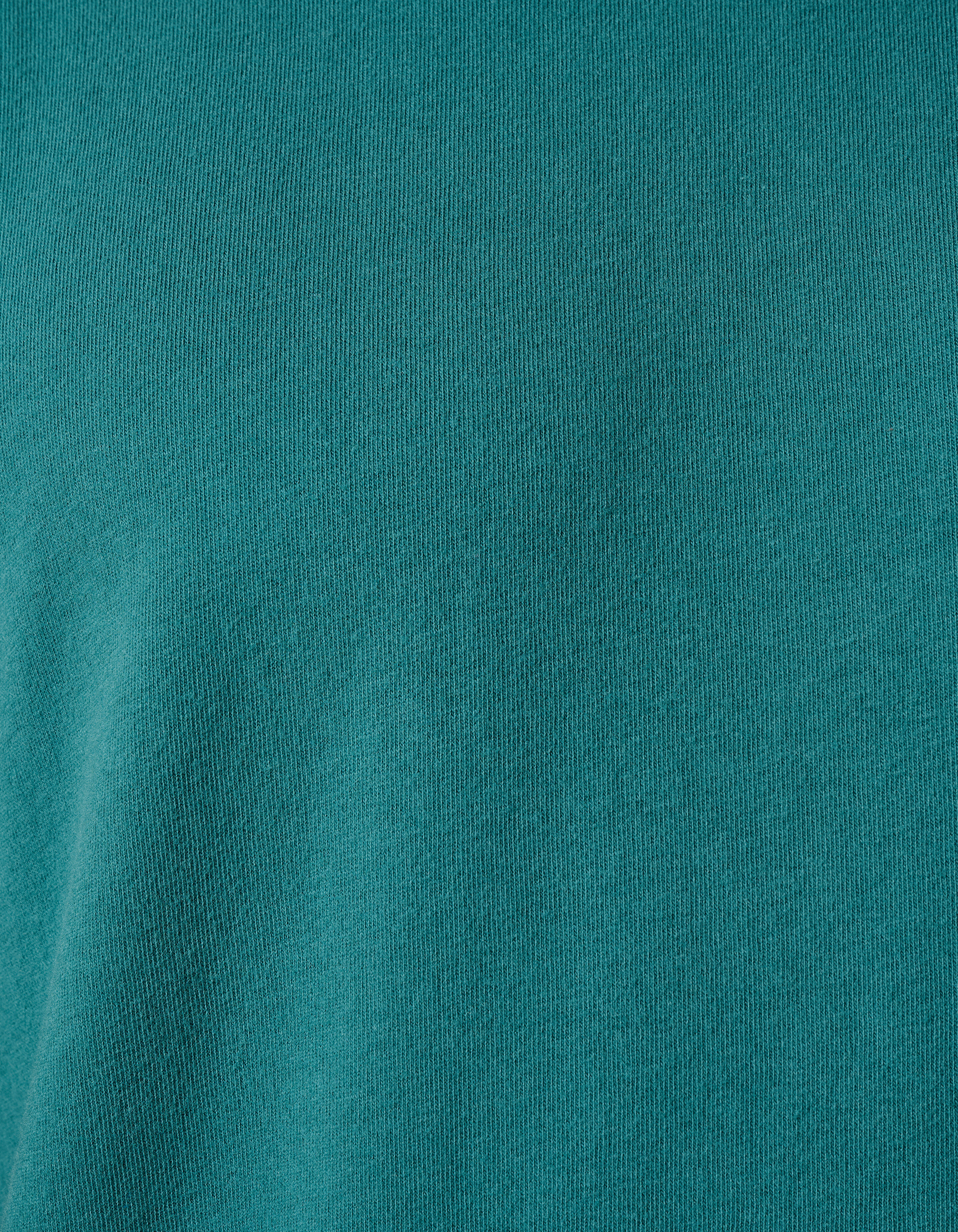 Brushed T-shirt Turquoise SHOEBY MEN