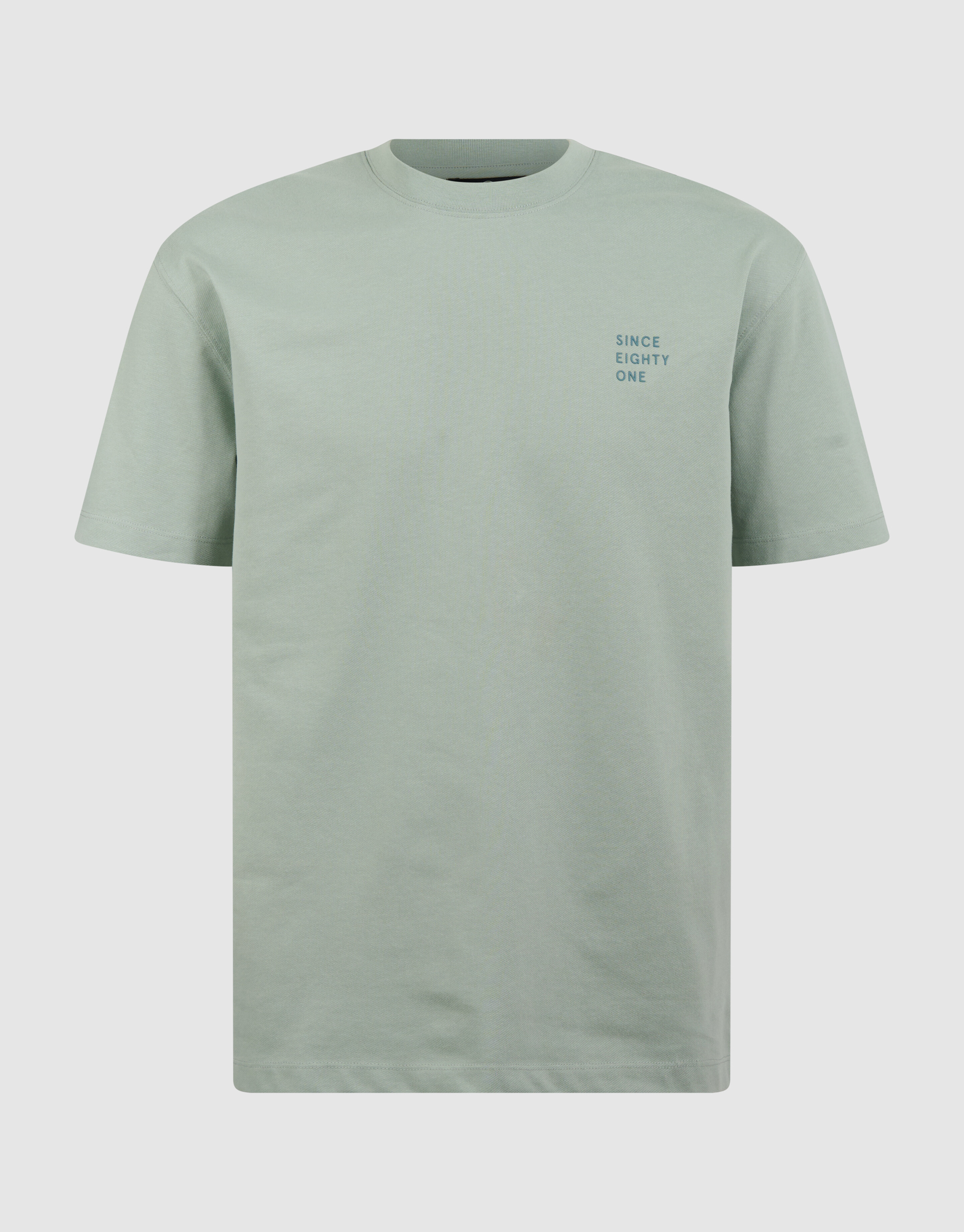 Tekst T-shirt Lichtgroen SHOEBY MEN