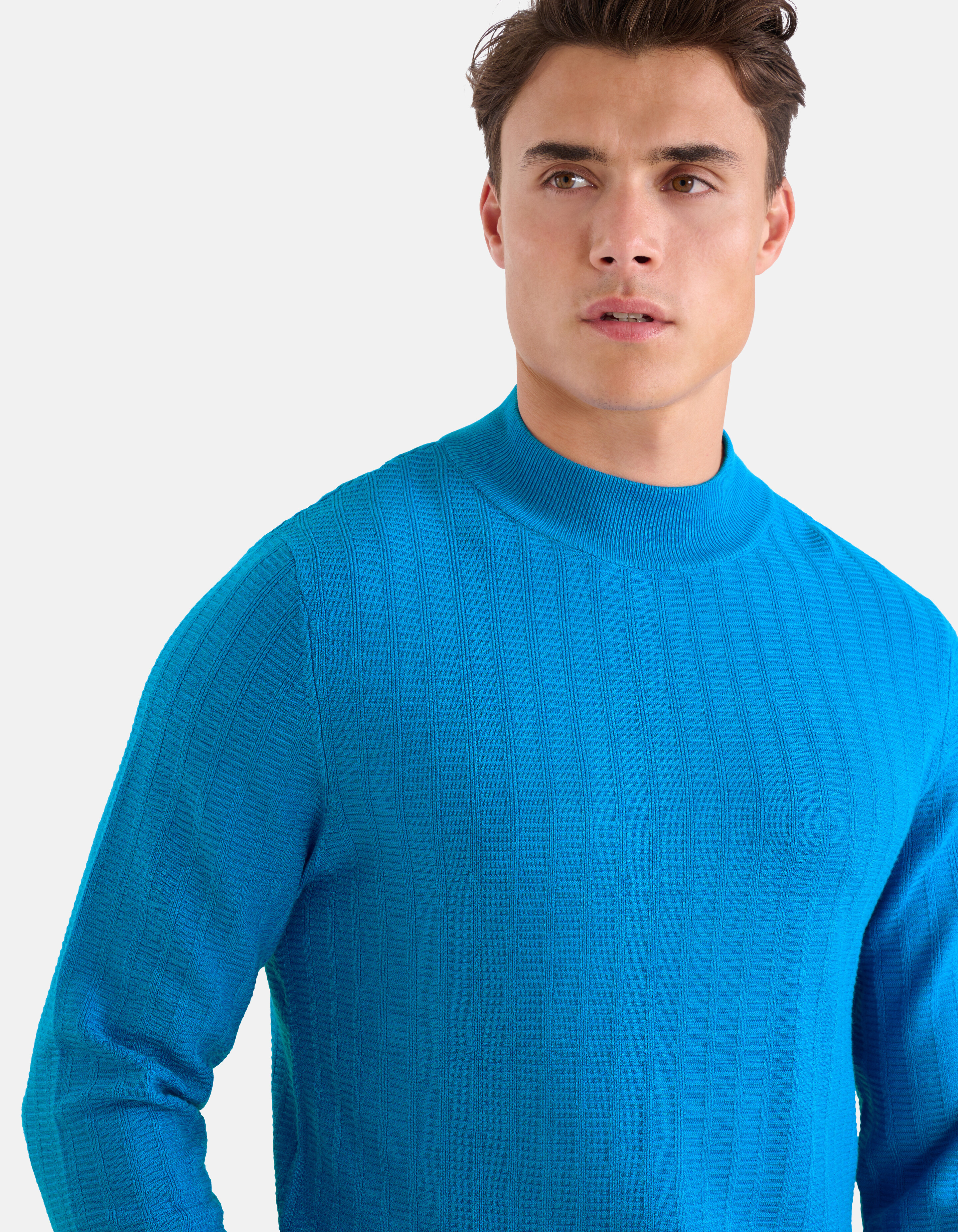 Structuur Trui Blauw SHOEBY MEN