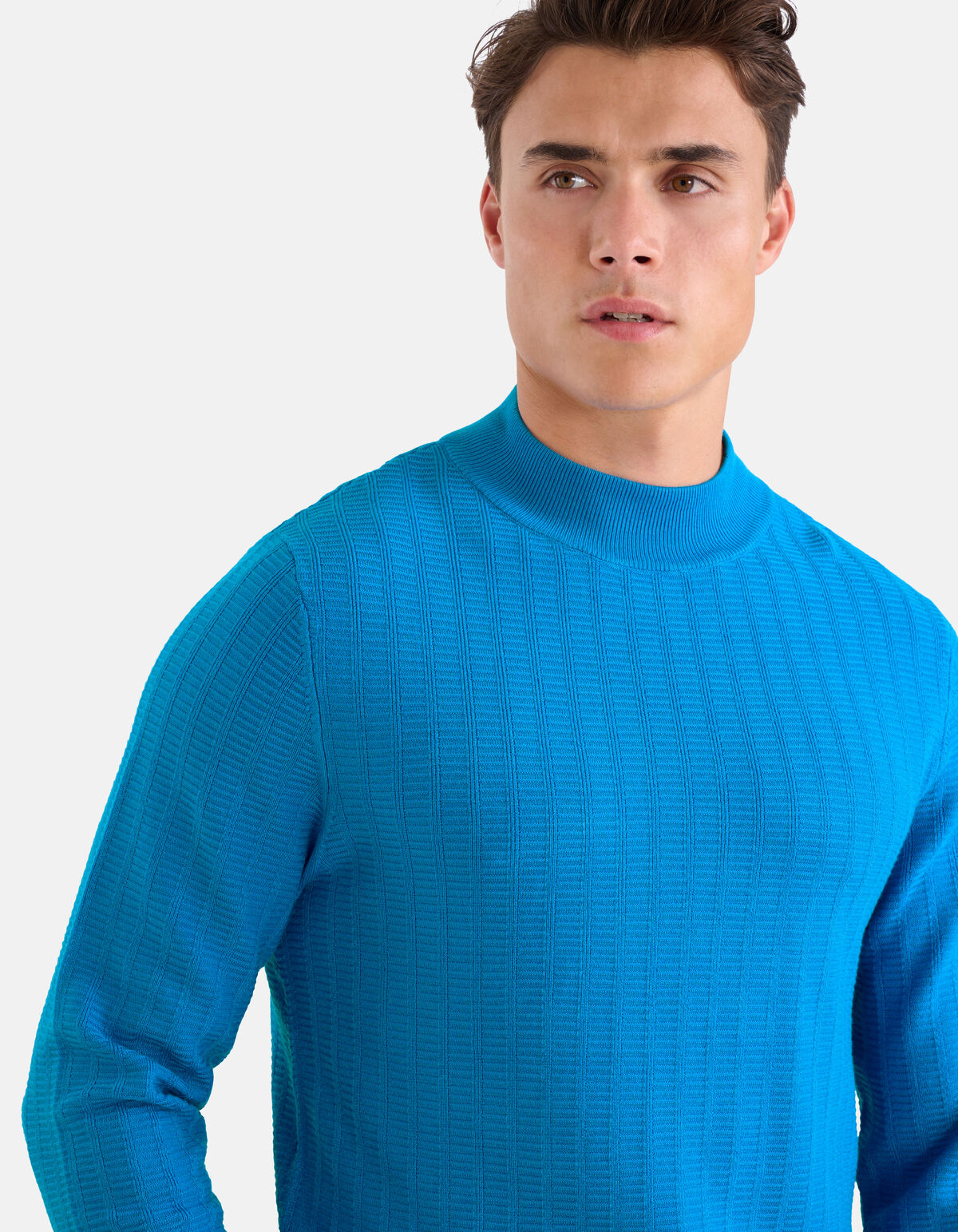 Structuur Trui Blauw SHOEBY MEN