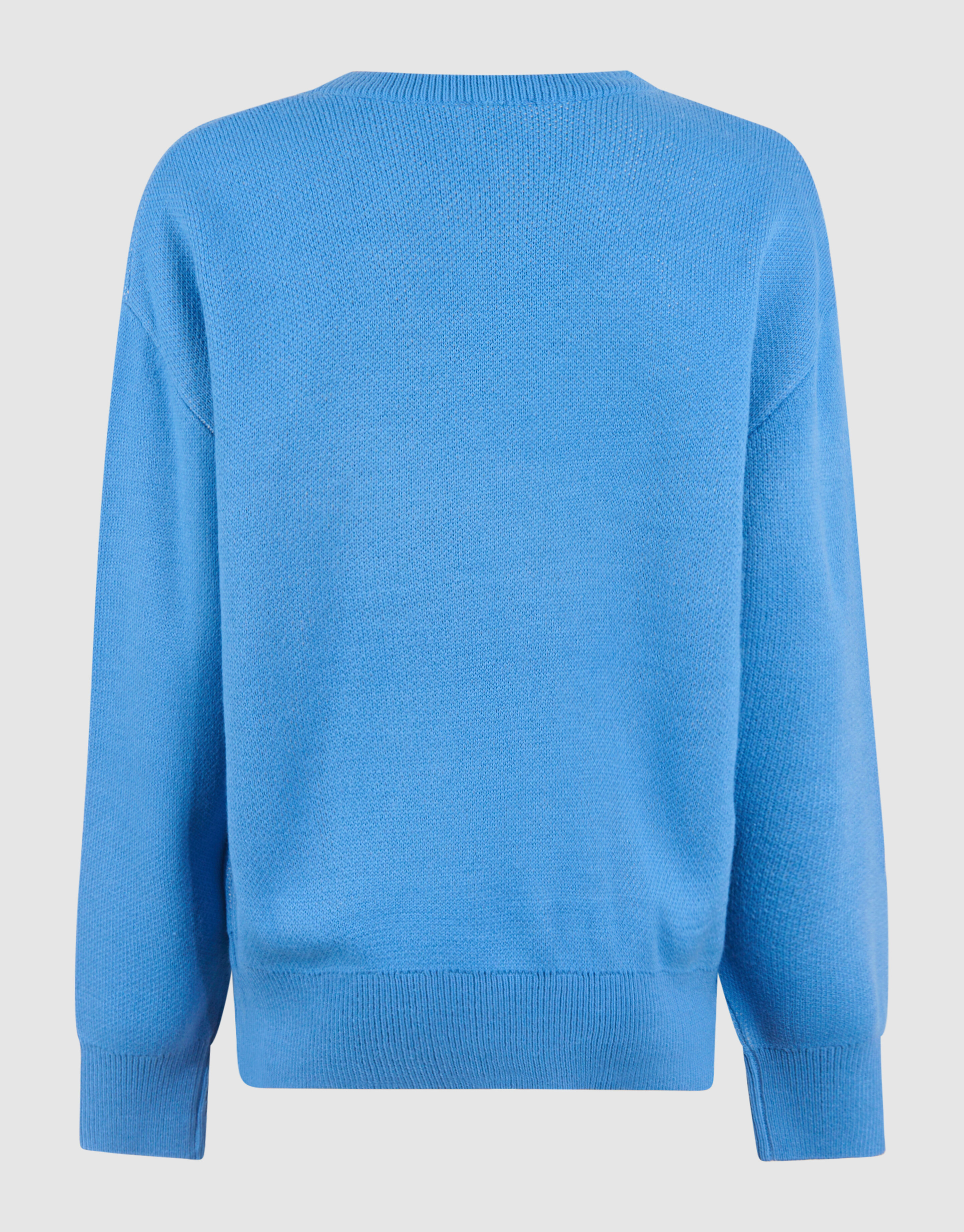 Artwork Trui Blauw SHOEBY GIRLS