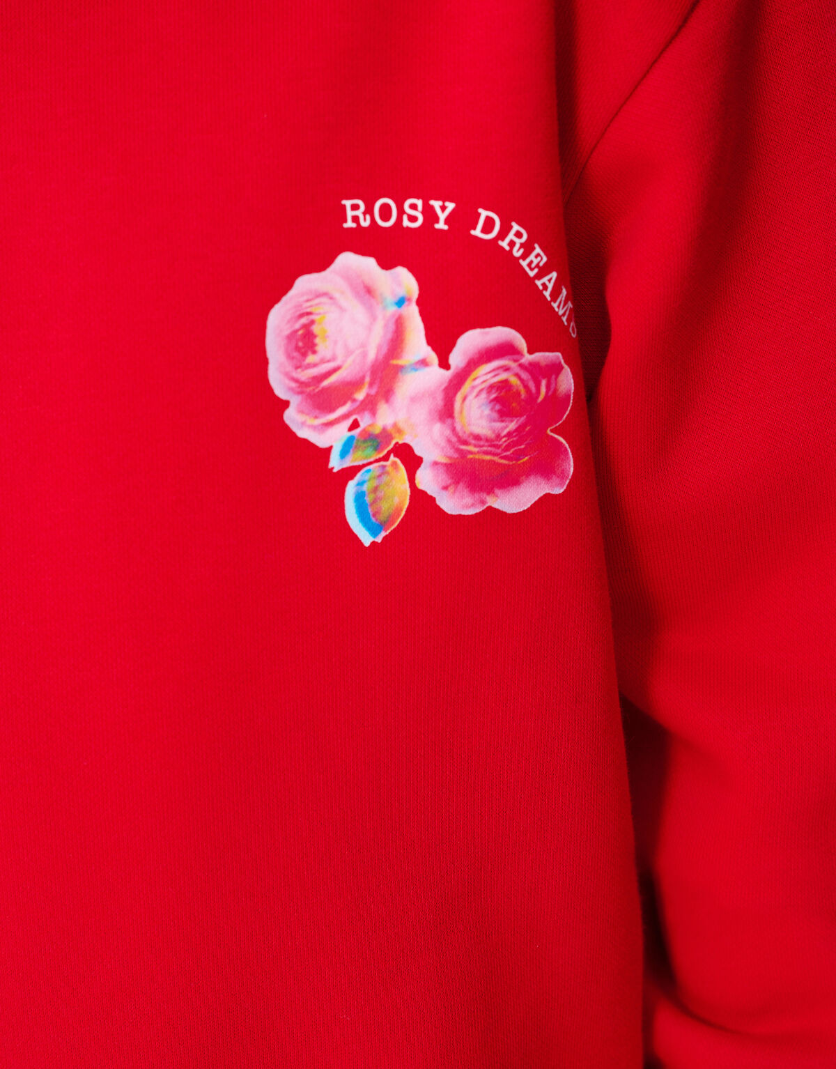 Sweet Roses Artwork Sweater Rood SHOEBY GIRLS