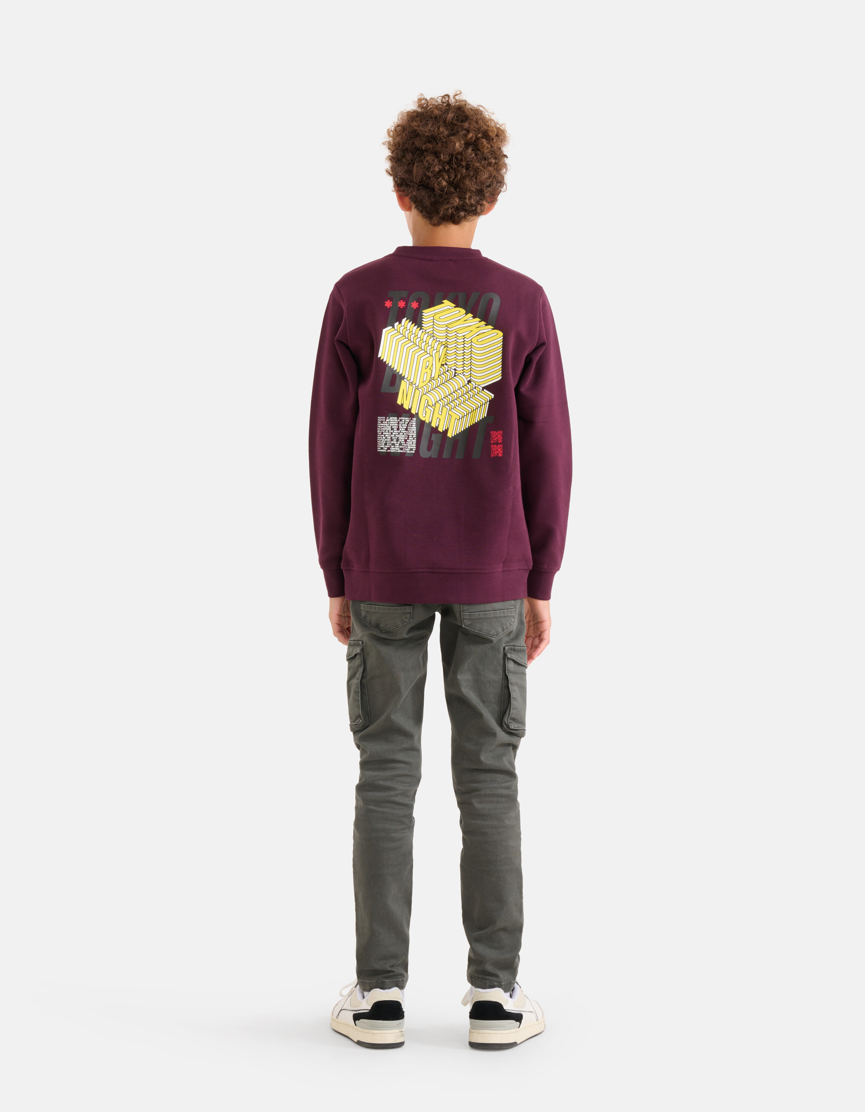 Artwork Sweater Bordeaux SHOEBY BOYS
