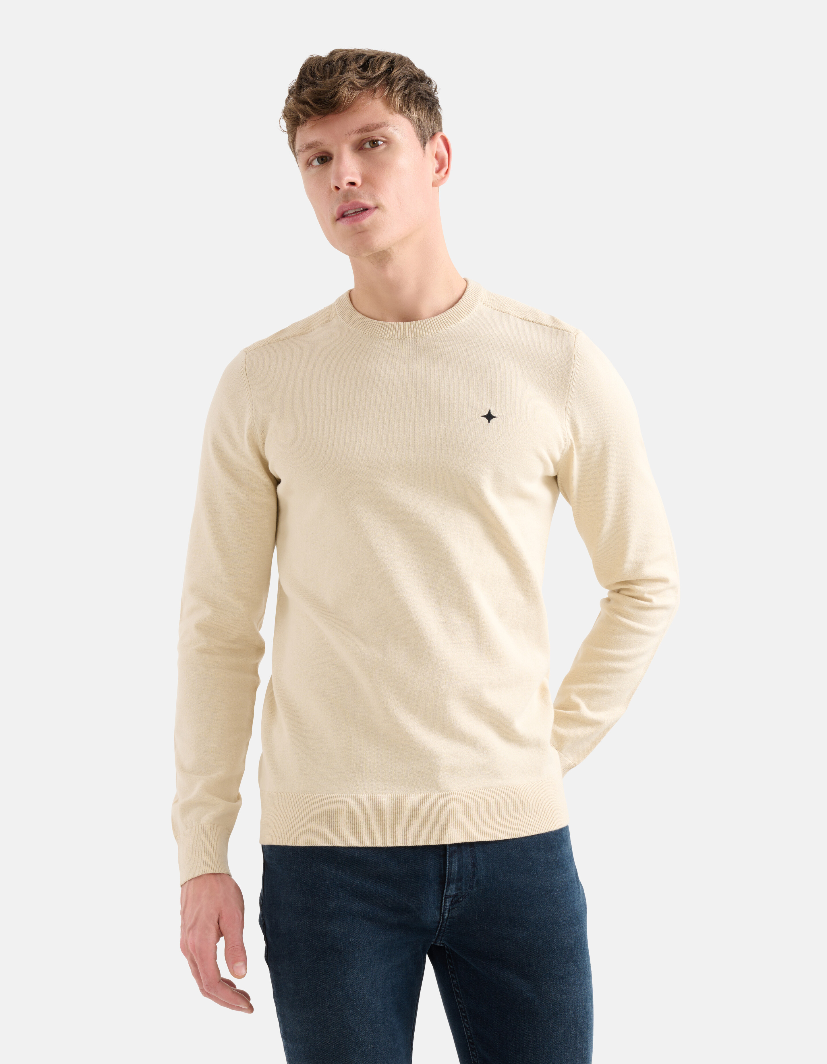 Rib Trui Beige SHOEBY MEN