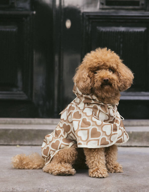 Printed Honden Regenjas Gebroken Wit SHOEBY ACCESSOIRES