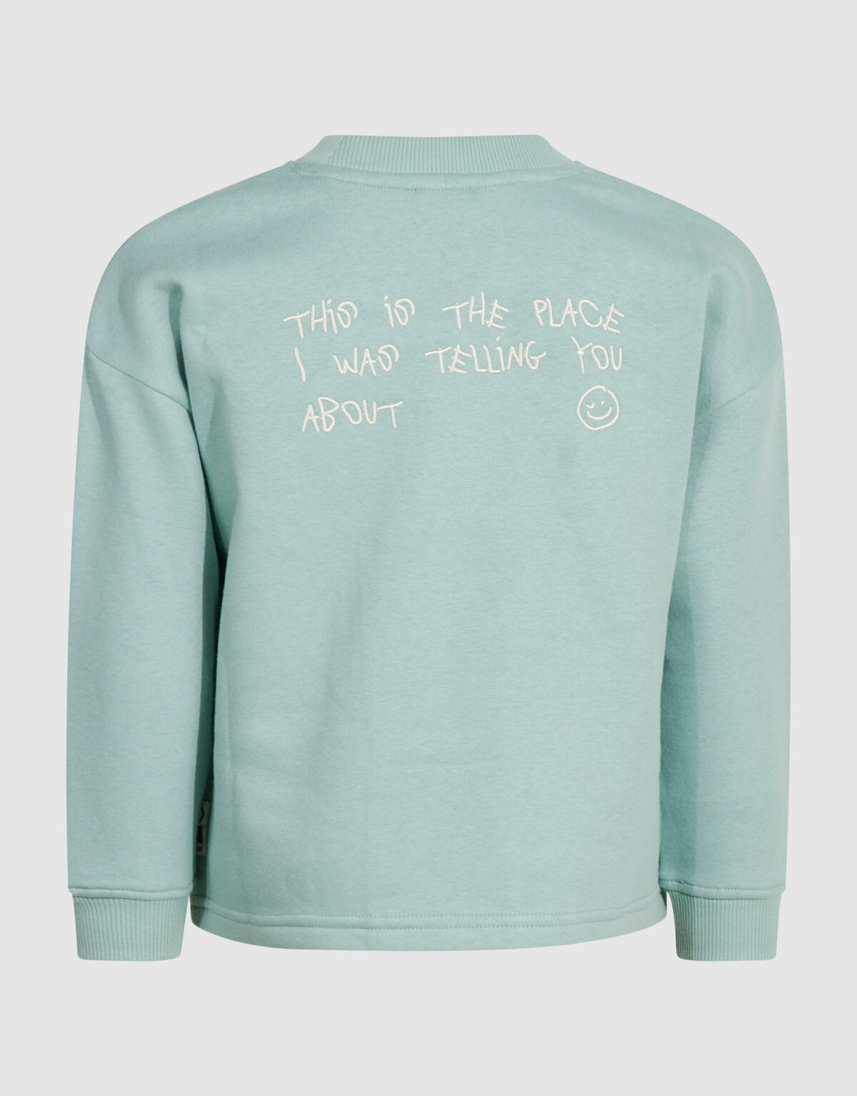 Oversized Artwork Sweater Lichtgroen SHOEBY BOYS