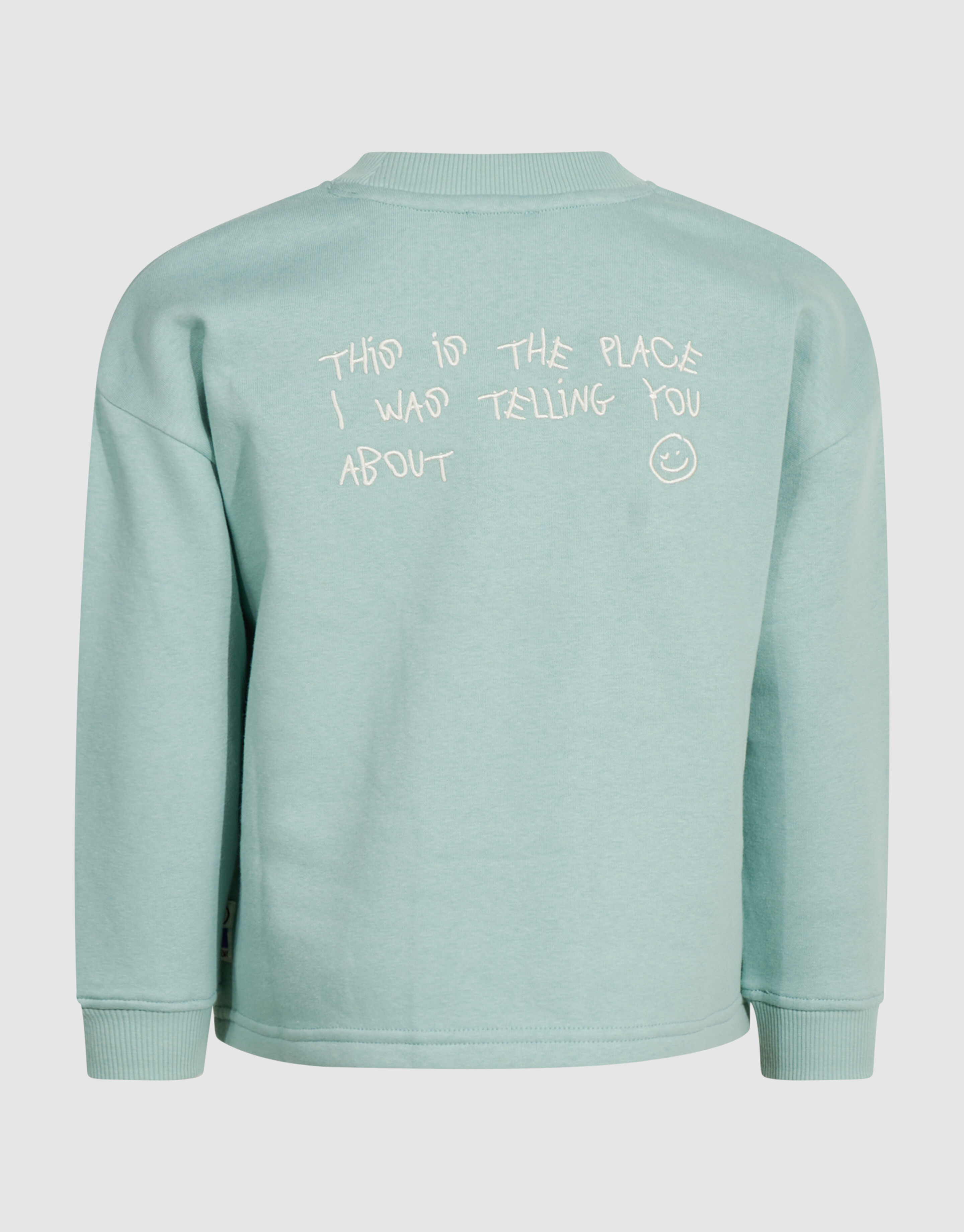 Oversized Artwork Sweater Lichtgroen SHOEBY BOYS