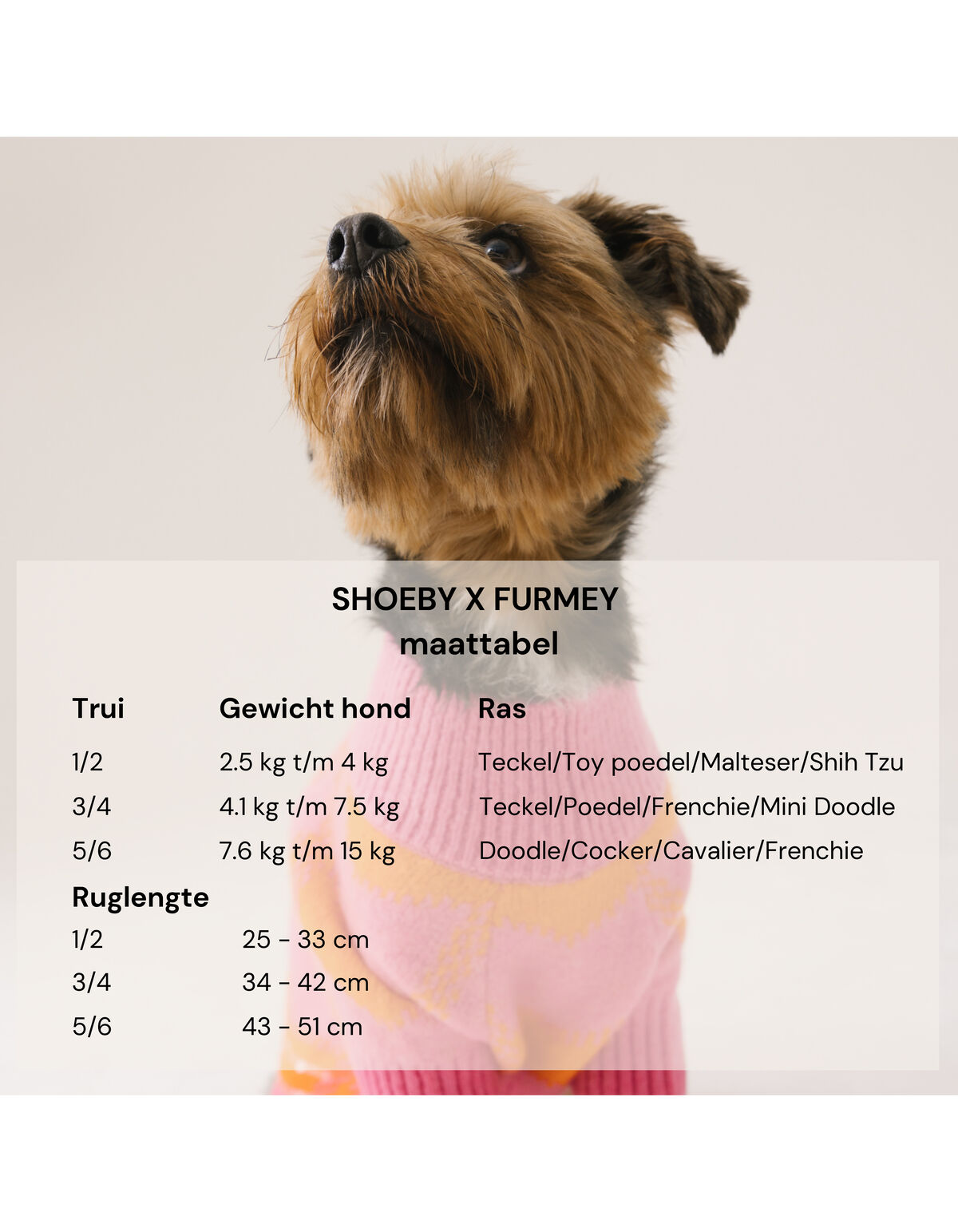 Heart Printed Honden Trui Gebroken Wit SHOEBY ACCESSOIRES