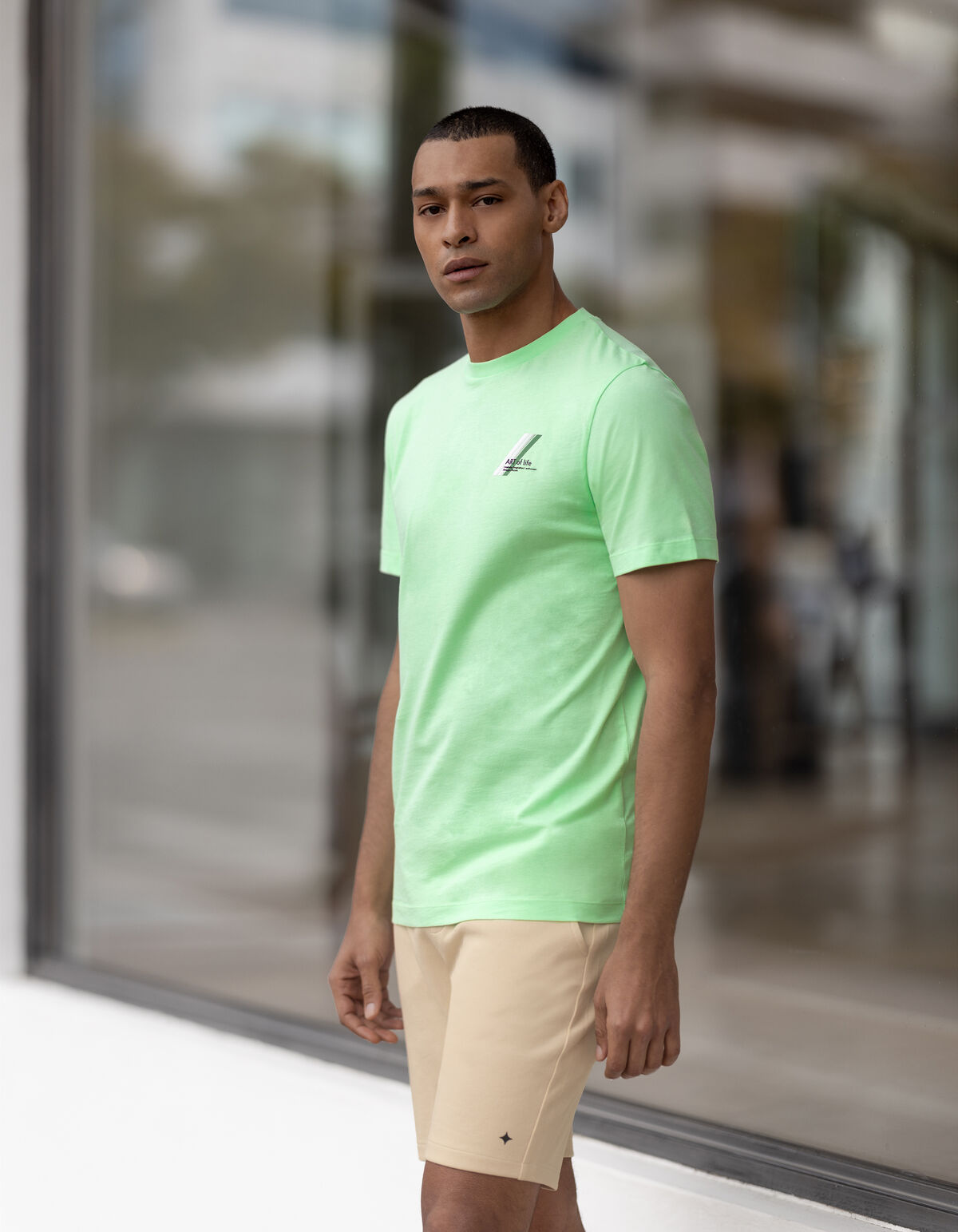 Artwork T-shirt Lichtgroen SHOEBY MEN