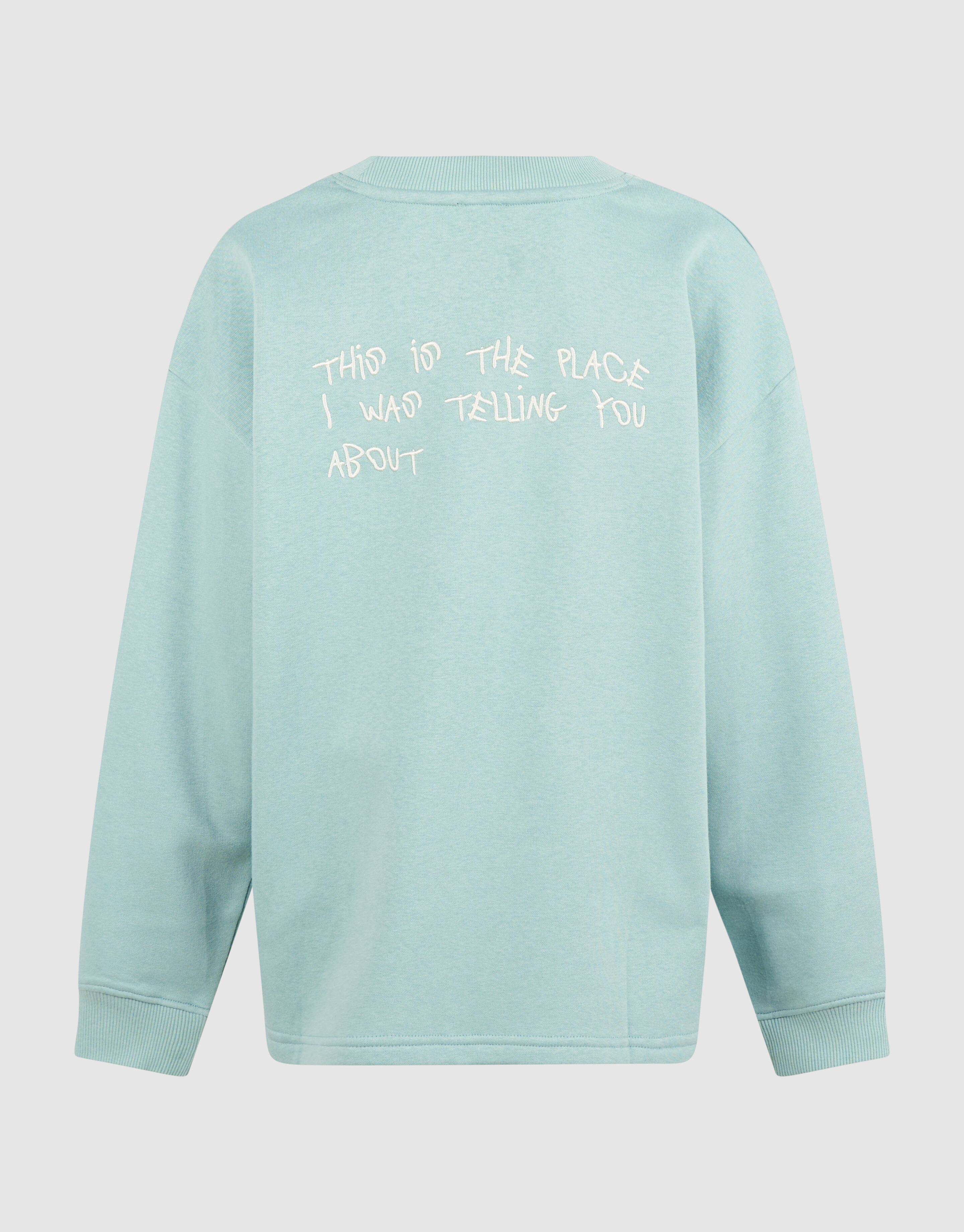 Oversized Artwork Sweater Lichtgroen SHOEBY BOYS