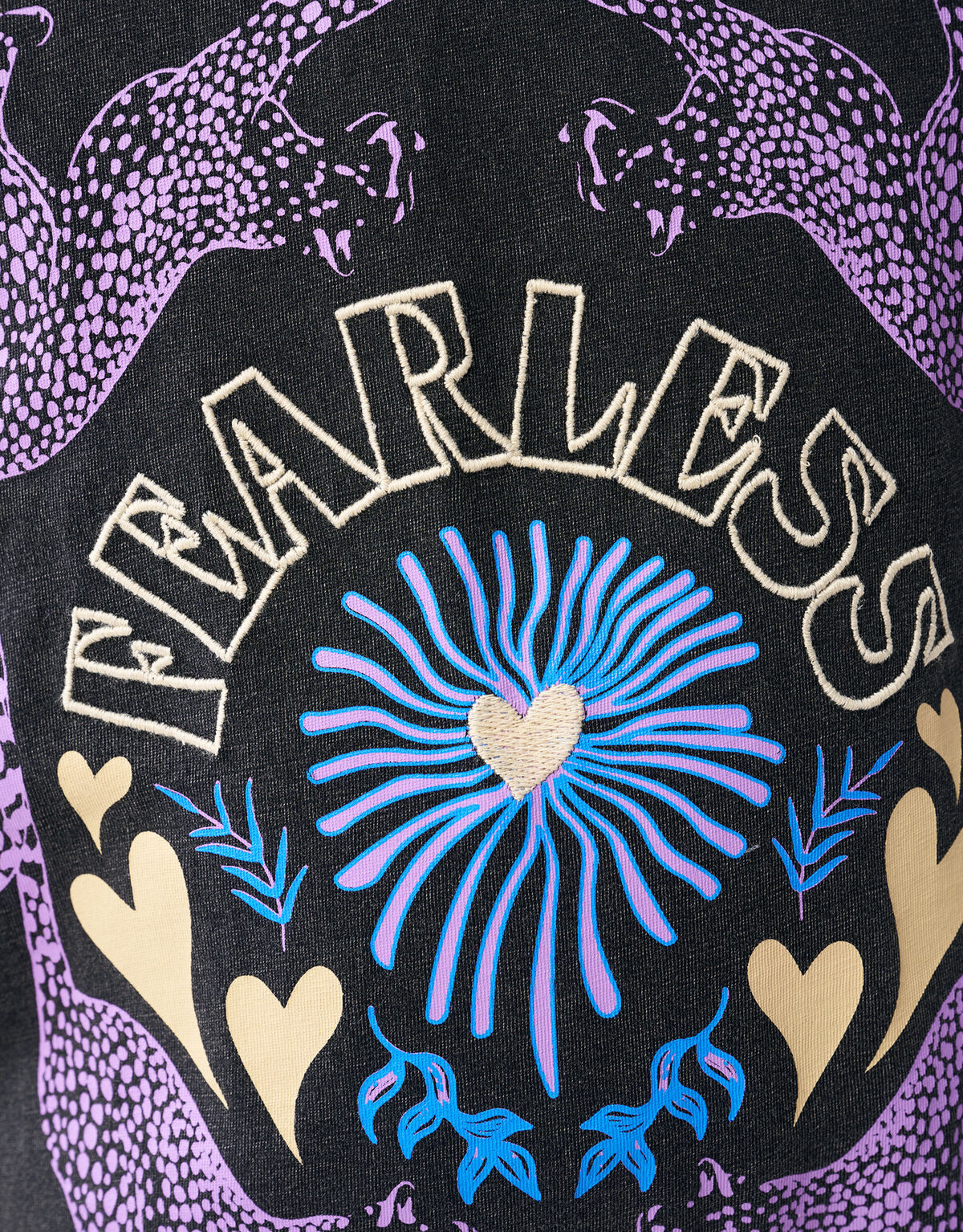 Fearless Artwork T-shirt Donkergrijs SHOEBY GIRLS