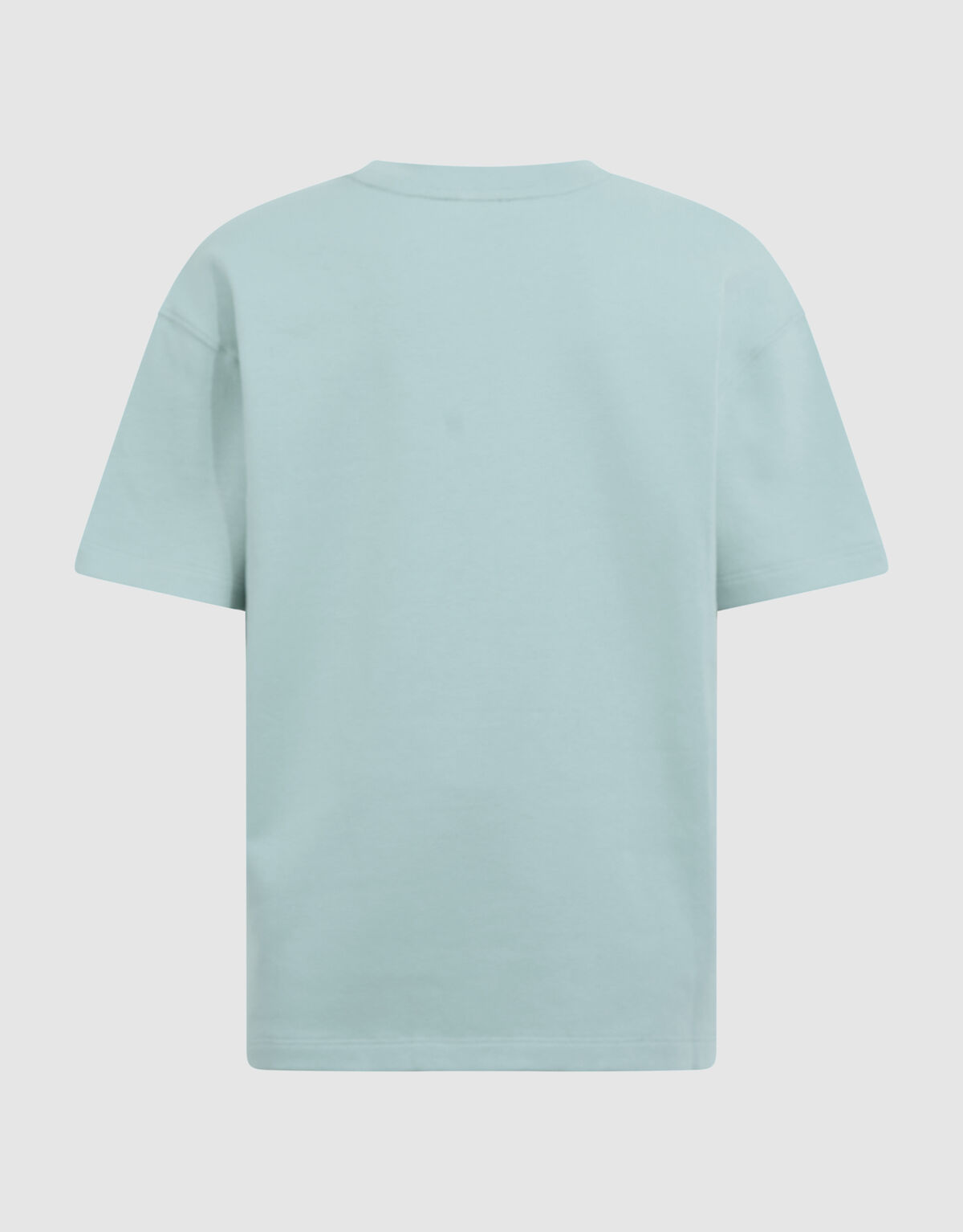 Basis Label T-Shirt Lichtgroen SHOEBY BOYS